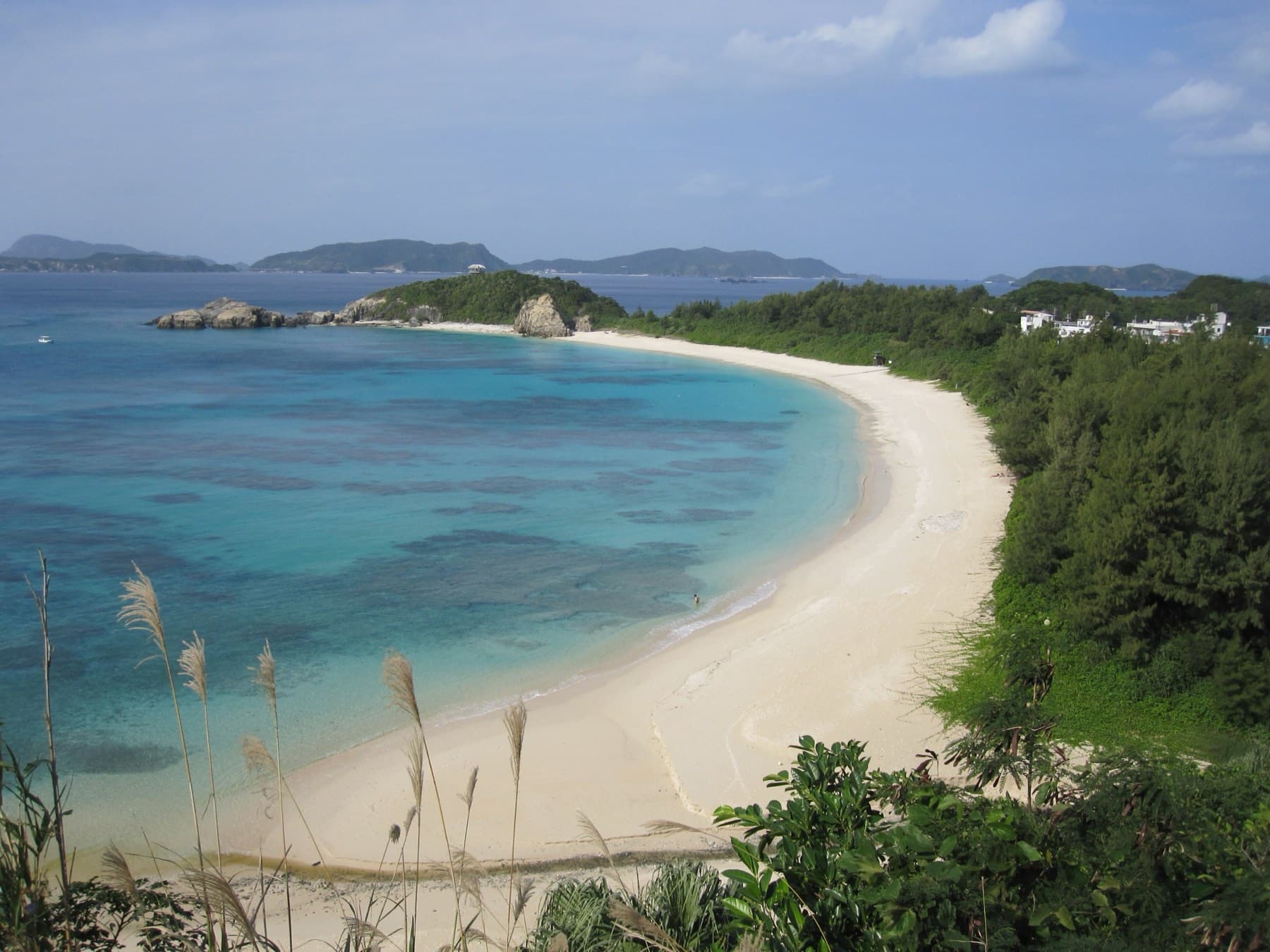 Pampas grass frames the long white curve of Aharen Beach on Tokashiki as it sweeps past the reef toward the rocky islet of Hanarejima
