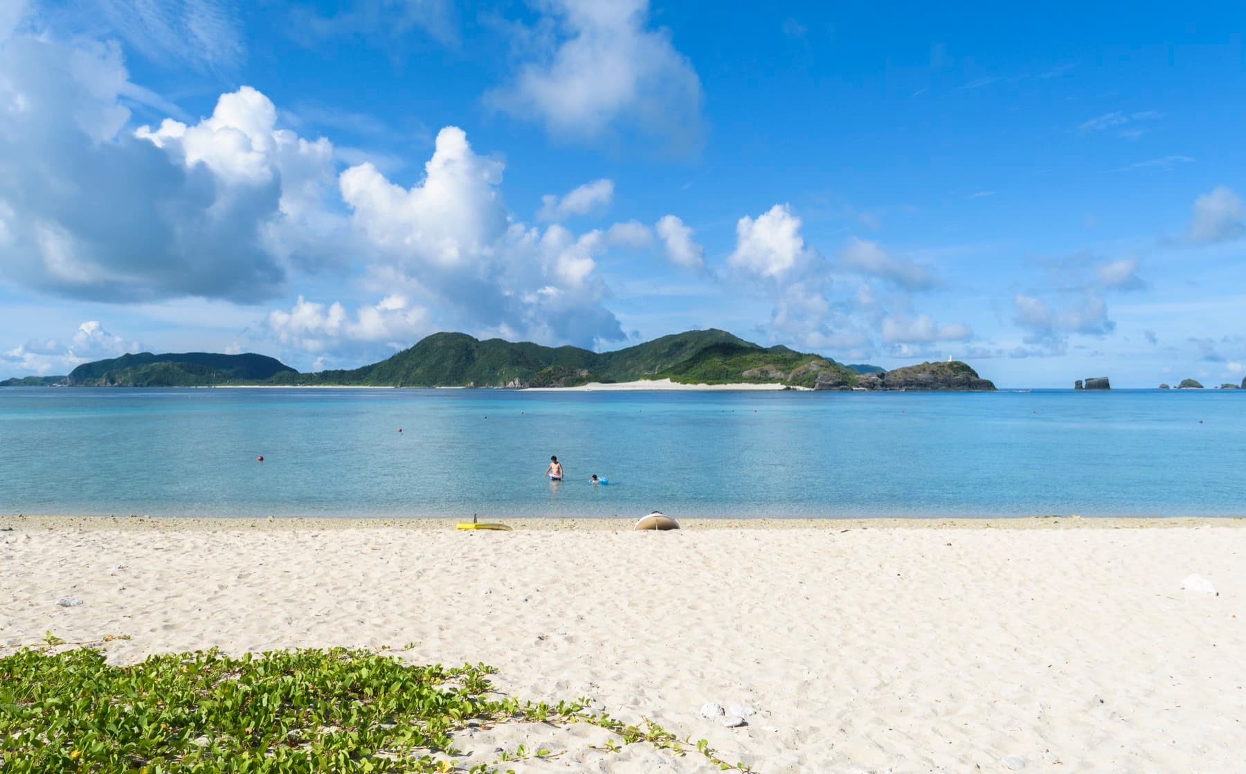 Beach morning glory creeps over the sand at Ama Beach while a few swimmers wade in the calm bay below a wooded islet with its own white beach