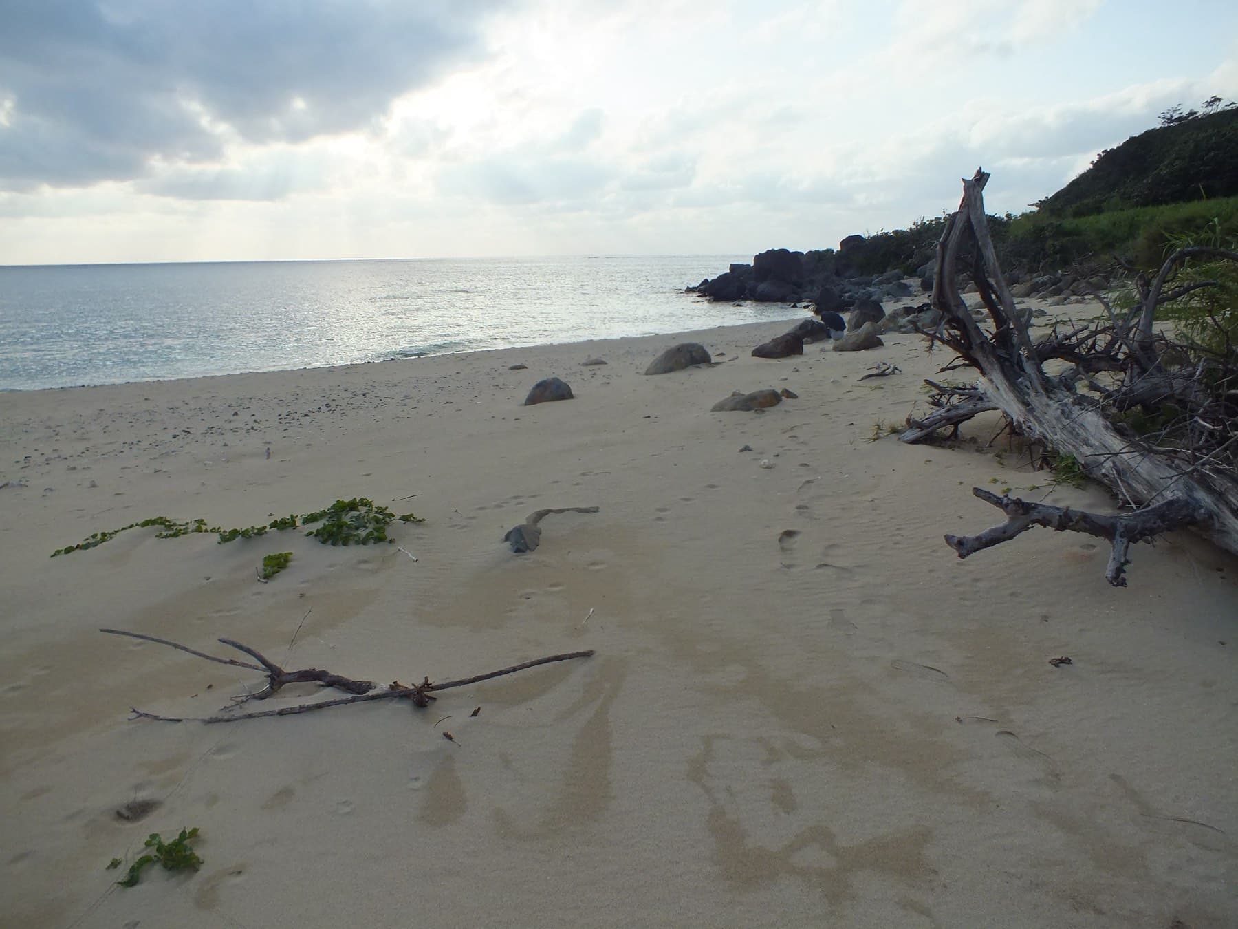 Driftwood lies on the pale sand of Ara Beach on Kume-jima, with a rocky wooded headland at the far end of the cove.