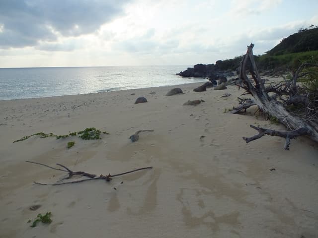 Driftwood lies on the pale sand of Ara Beach on Kume-jima, with a rocky wooded headland at the far end of the cove.