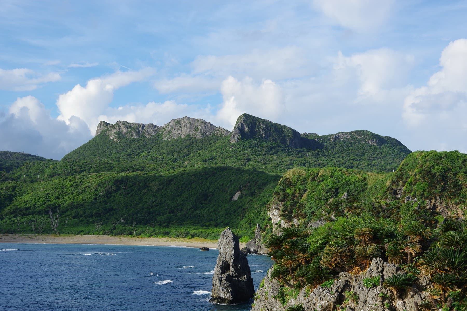 The jagged limestone ridge of Asumui rises above forest and a calm bay near Cape Hedo, with a lone rock pinnacle standing in the water