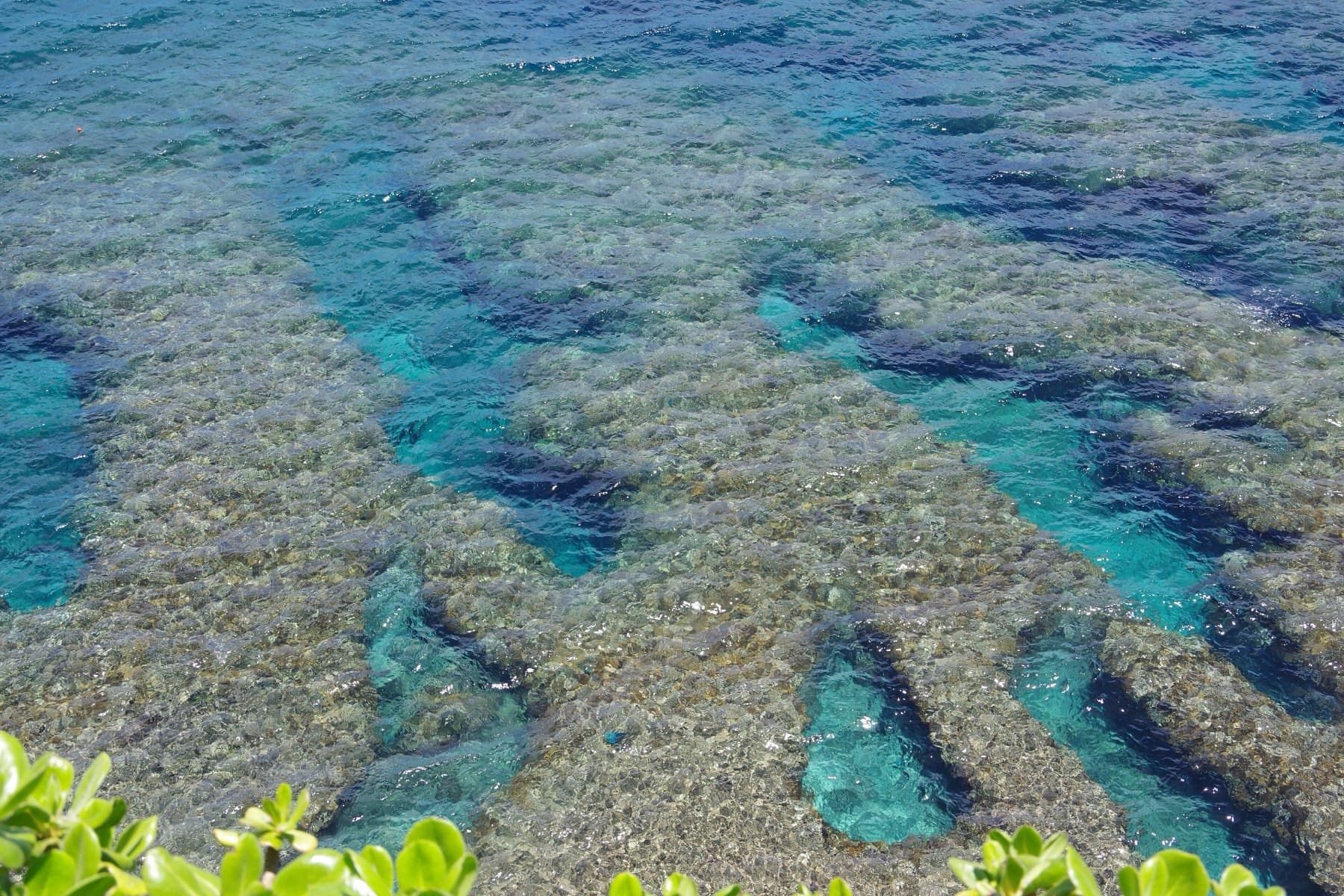 Looking straight down from Cape Hedo, deep blue channels cut through the brown reef flat where the open sea washes in