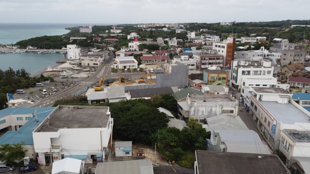 The rooftops of Chabana, Yoron's main town, spread down to the harbour and the sea in this drone view.