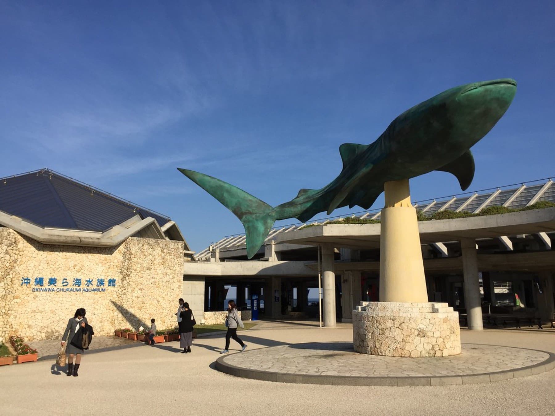 A green bronze whale shark leaps from a stone plinth outside Churaumi Aquarium beside the limestone wall that carries the aquarium's name