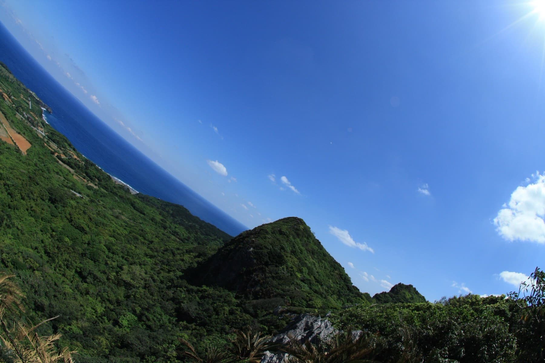 From the high trail at Daisekirinzan a forested peak drops toward the deep blue East China Sea along the northern coast of Yanbaru