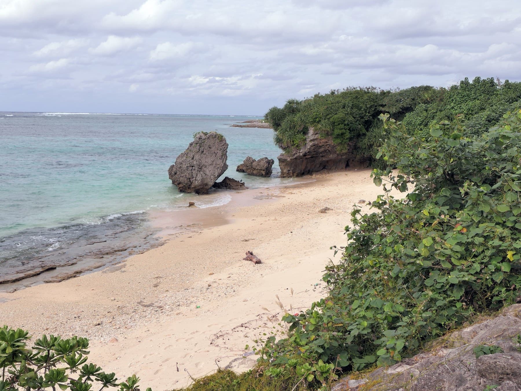Pale coral sand runs past green scrub to a cluster of weathered rocks at the edge of Emerald Beach in Ocean Expo Park under a soft grey winter sky