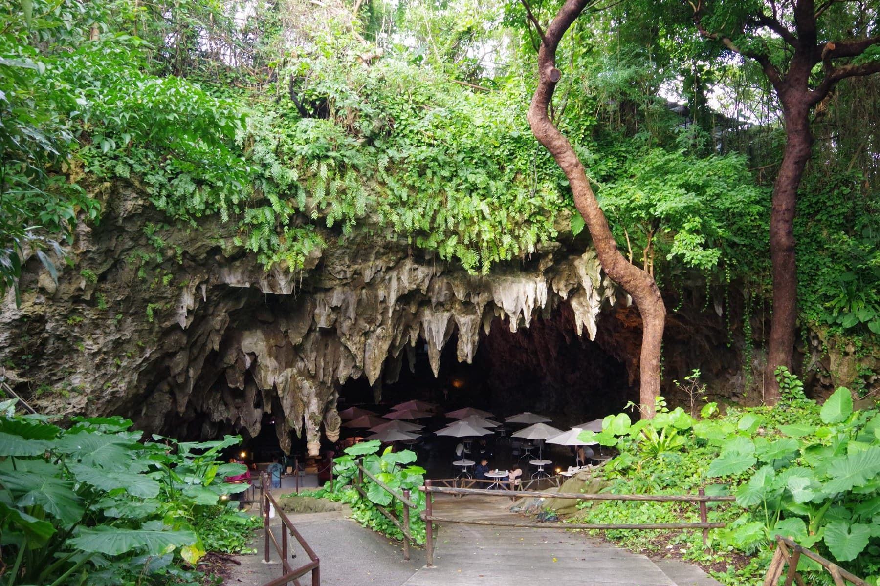 Ferns and tree roots drape the mouth of a limestone cave in the Valley of Gangala, where cafe umbrellas stand in the shade beneath the stalactites
