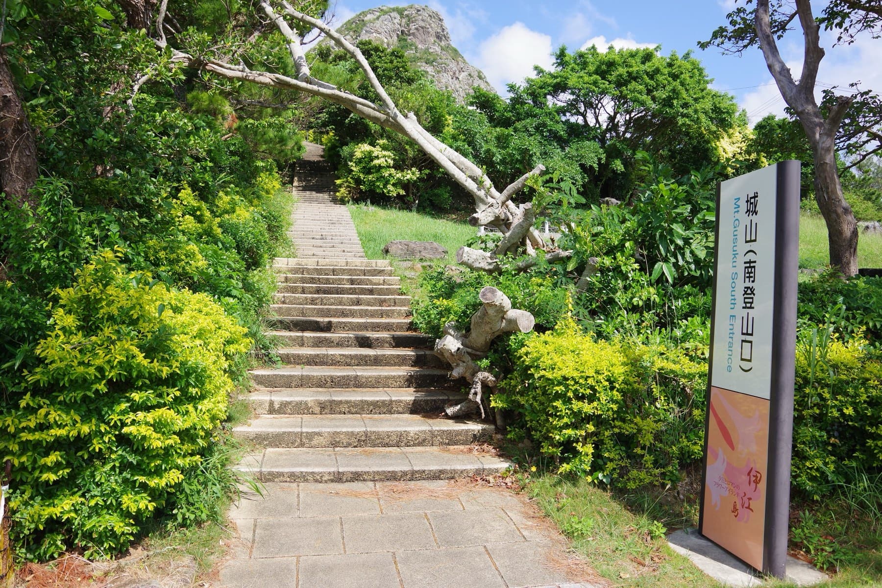 A flight of stone steps leads up from the south entrance of Gusuku-yama between yellow-green shrubs, with the grey rock peak showing through the trees