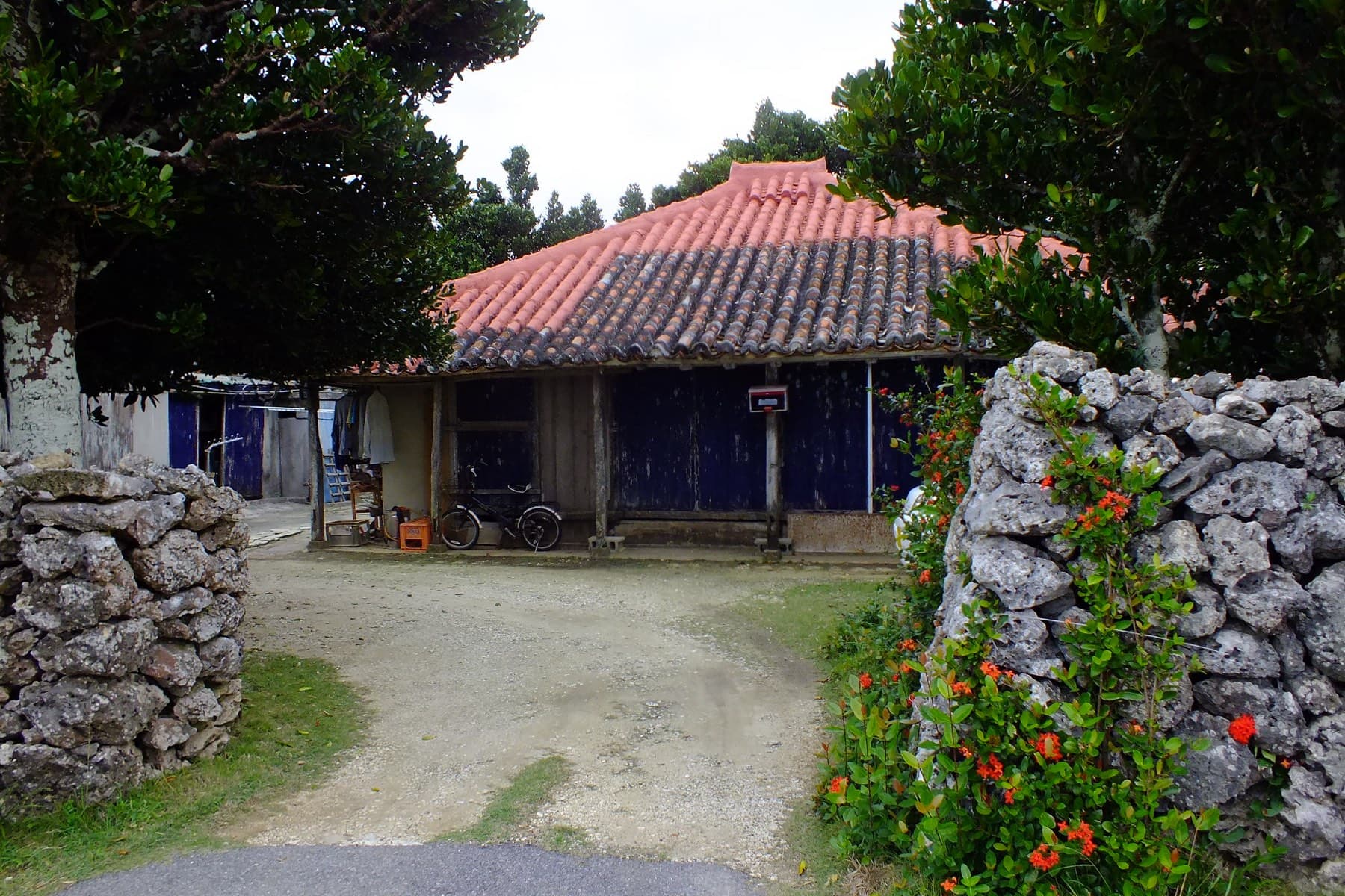 Red hibiscus grows beside the coral-stone gateway of a red-roofed house set under big trees in Hateruma village.