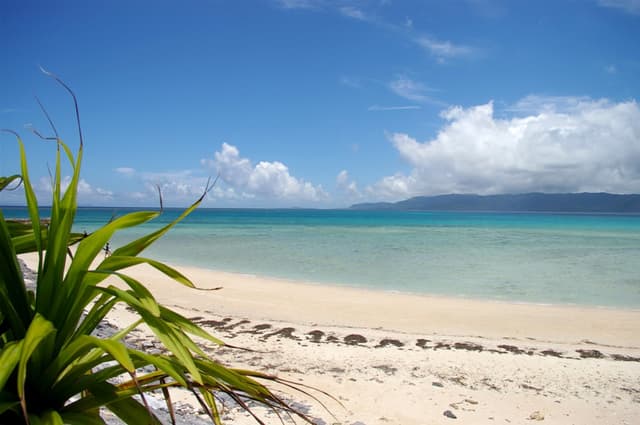 A pandanus frond frames white sand and clear shallow water on Hatoma, with the hills of Iriomote low across the channel.