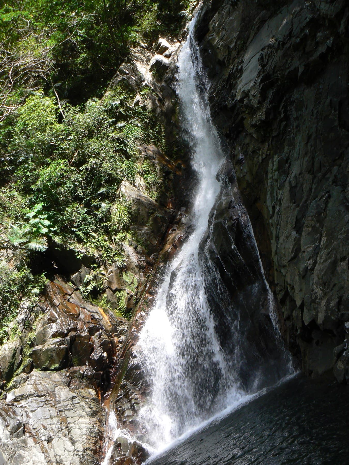 White water slides down the steep stepped rock of Hiji Falls as ferns and broadleaf trees crowd the gorge walls around it