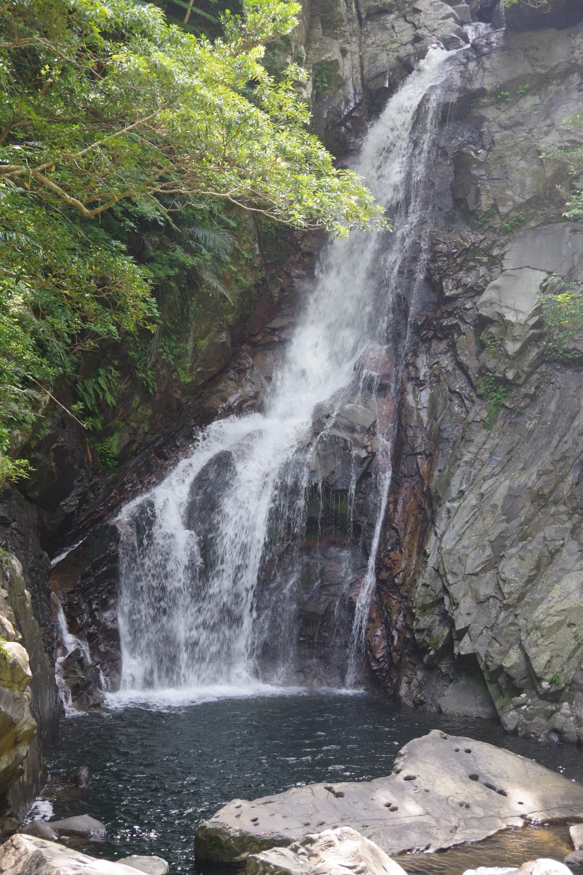 Hiji Falls drops 26 m down a dark rock face into a clear pool in the Yanbaru forest, framed by green leaves on both sides