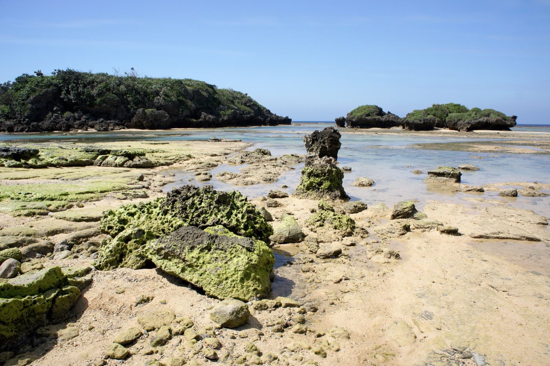 Low tide bares mossy coral rock and sand pools at Hoshizuna Beach in front of a wooded islet and the open sea.