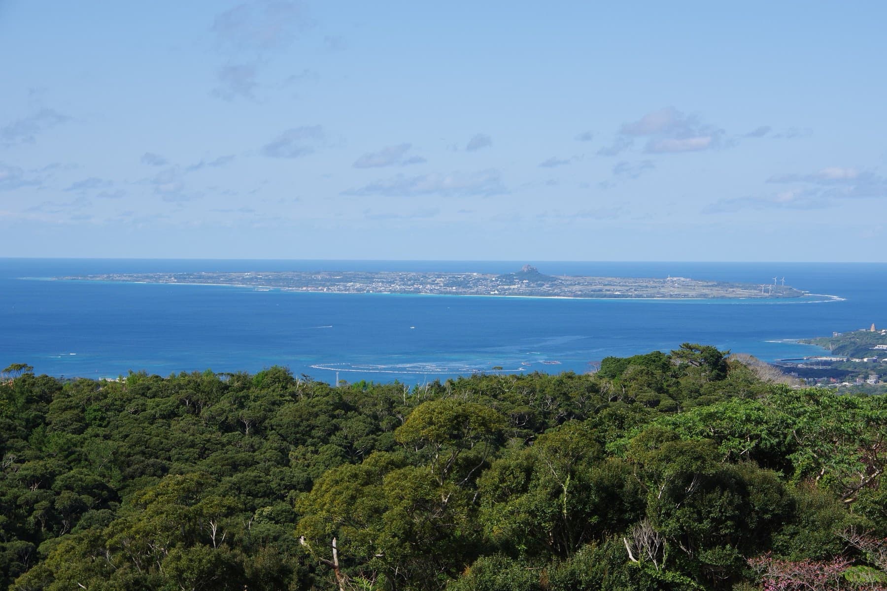 Seen from the forest on Yaedake, Ie-jima lies flat across a deep blue strait with the single rock peak of Gusuku-yama rising from its middle