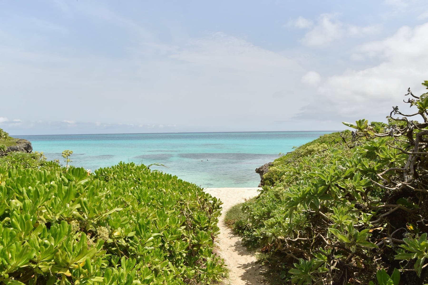 A sandy path squeezes between thick beach scrub down to the clear water at Funakusu Beach on Ikema.