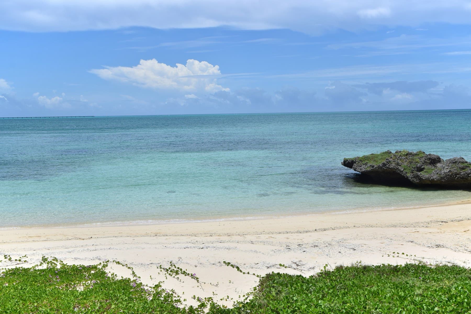 Beach morning glory runs down to a strip of white sand and calm turquoise water at a small cove on the north coast of Irabu.