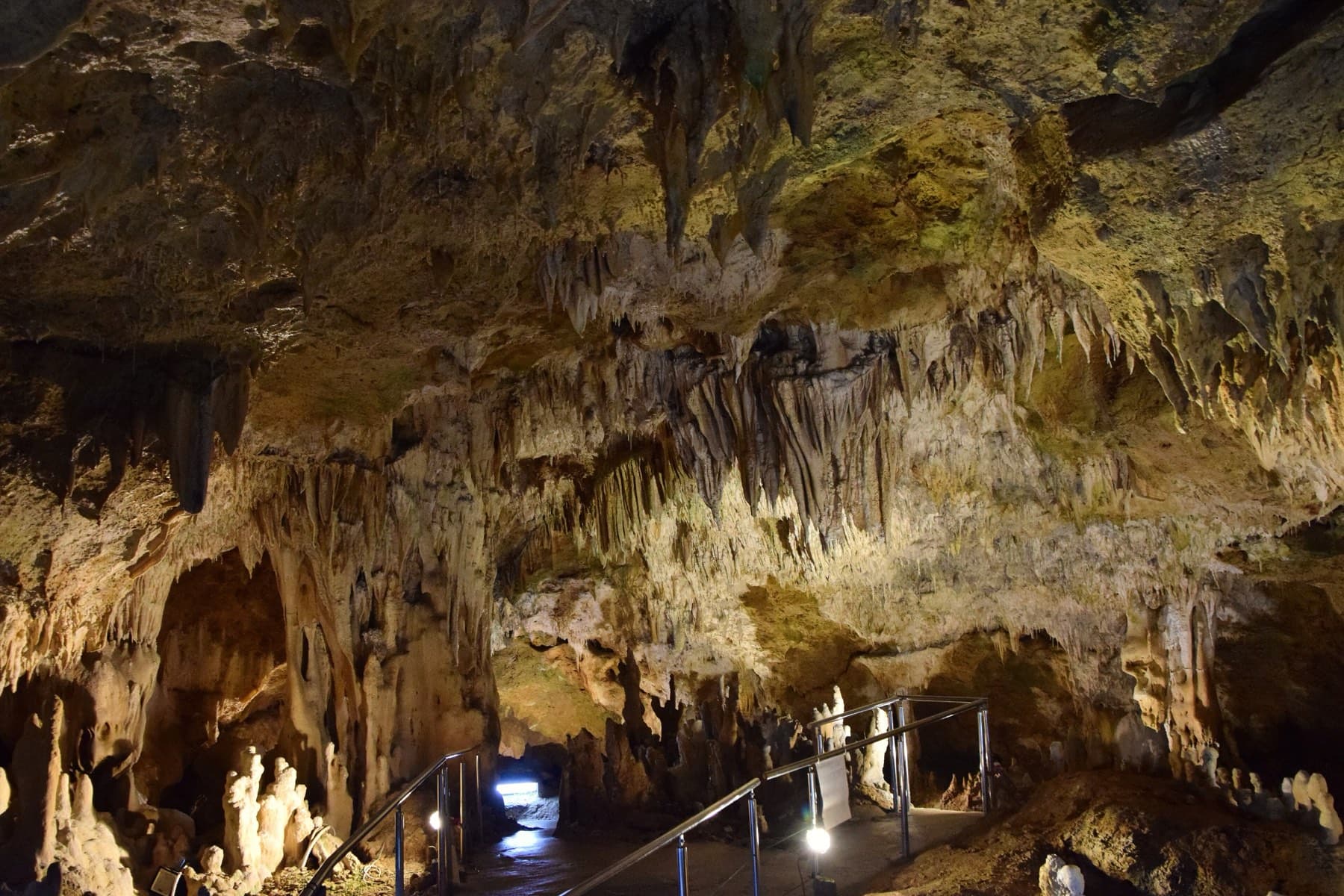 A railed walkway runs under a low ceiling hung thick with stalactites in the main gallery of the Ishigaki-jima Limestone Cave.