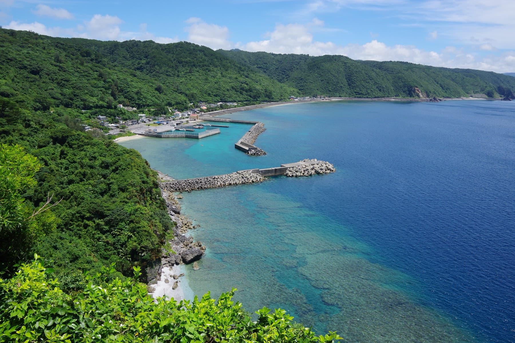 From Kayauchi Banta the reef glows turquoise below the cliffs, and a small harbour and the forested west coast of Yanbaru stretch away south
