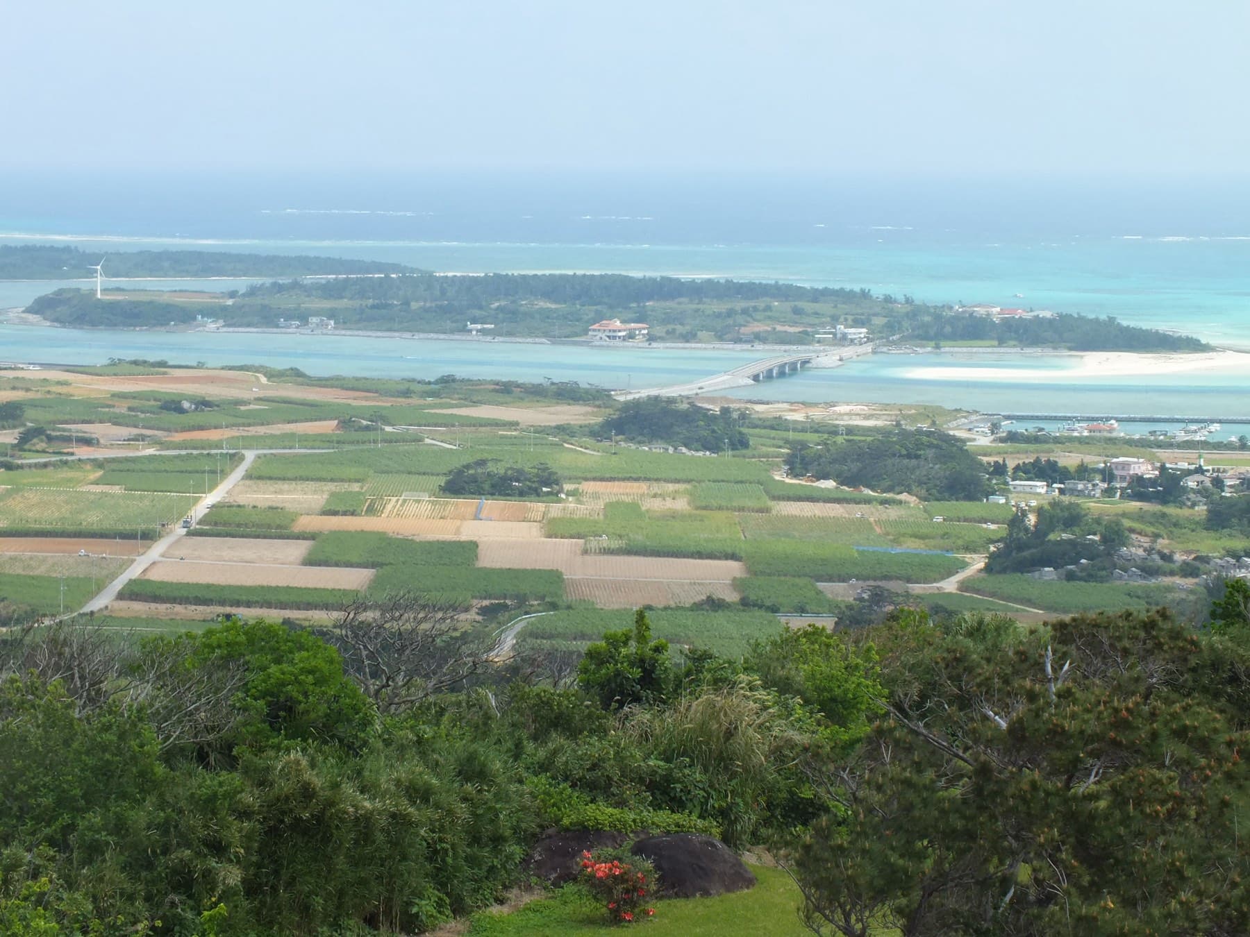 Patchwork cane fields and farm roads on eastern Kume-jima lead the eye to Ou-jima, its bridge and the long white sandbars of Hate-no-hama on the reef beyond.