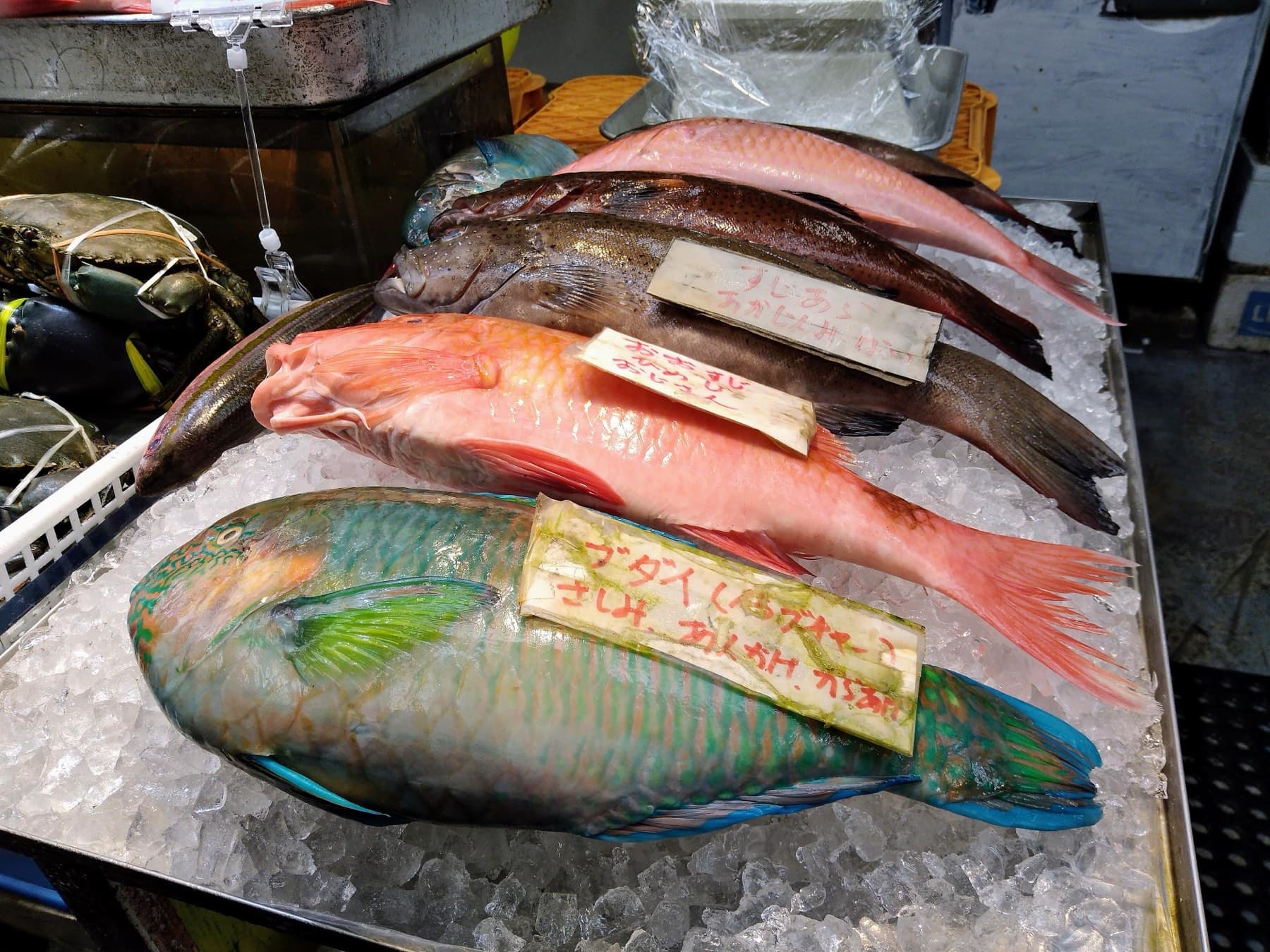 A blue-green parrotfish lies on ice at a Makishi Public Market fish stall next to red reef fish, and handwritten paper labels give their local names