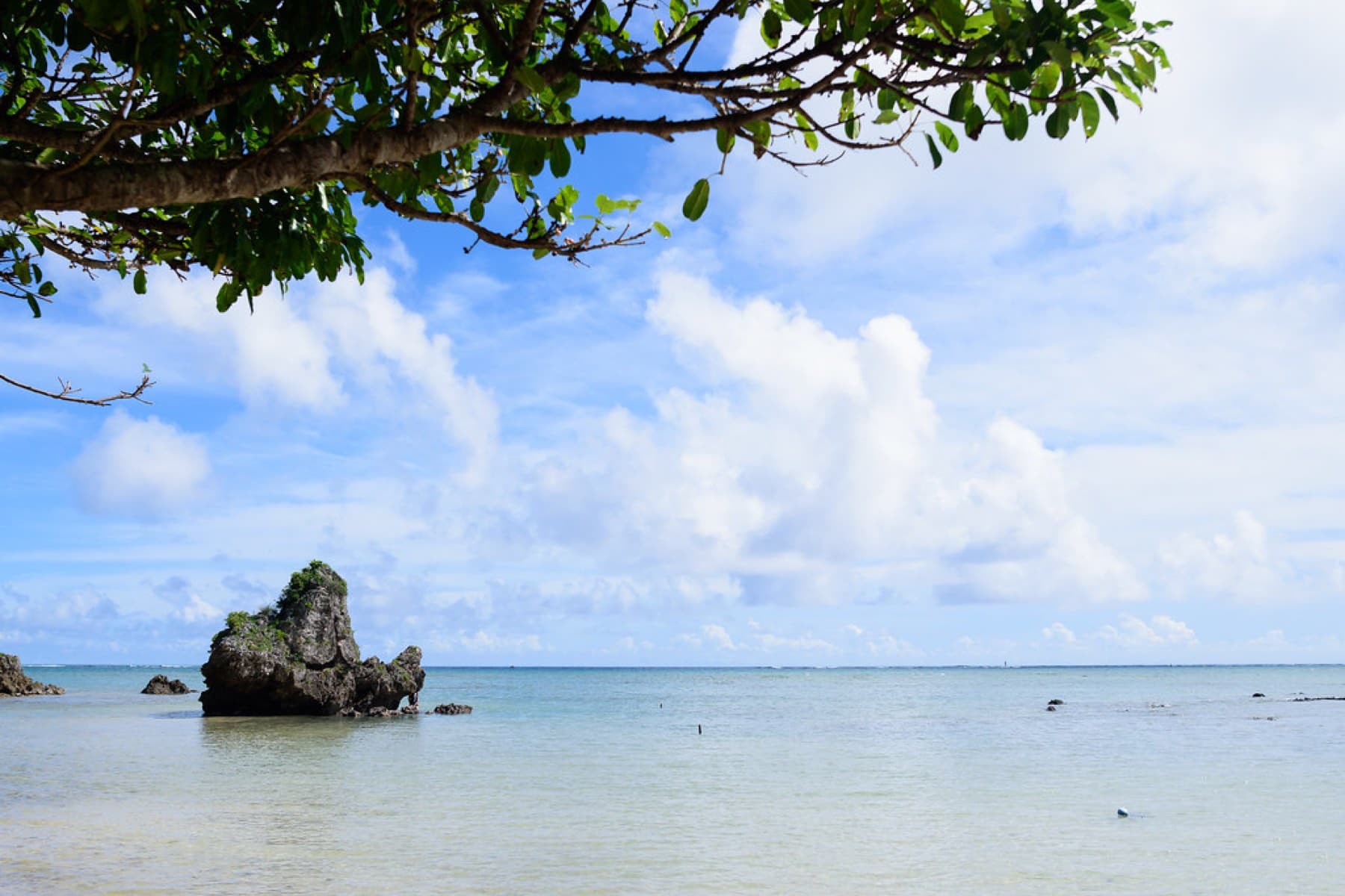 A branch frames a single craggy rock standing in still pale water at Mibaru Beach under a wide summer sky full of cloud