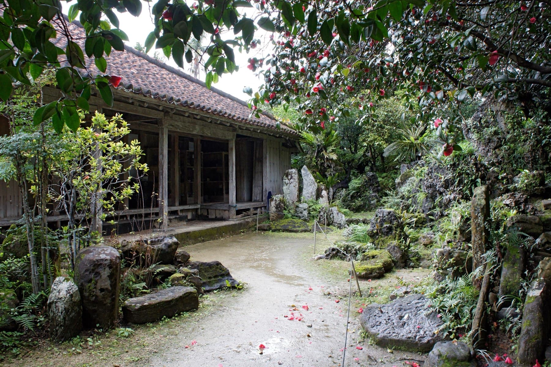 A path of fallen red petals leads past rock and fern beds to the deep veranda of the red-tiled Miyara Donchi residence in Ishigaki town.