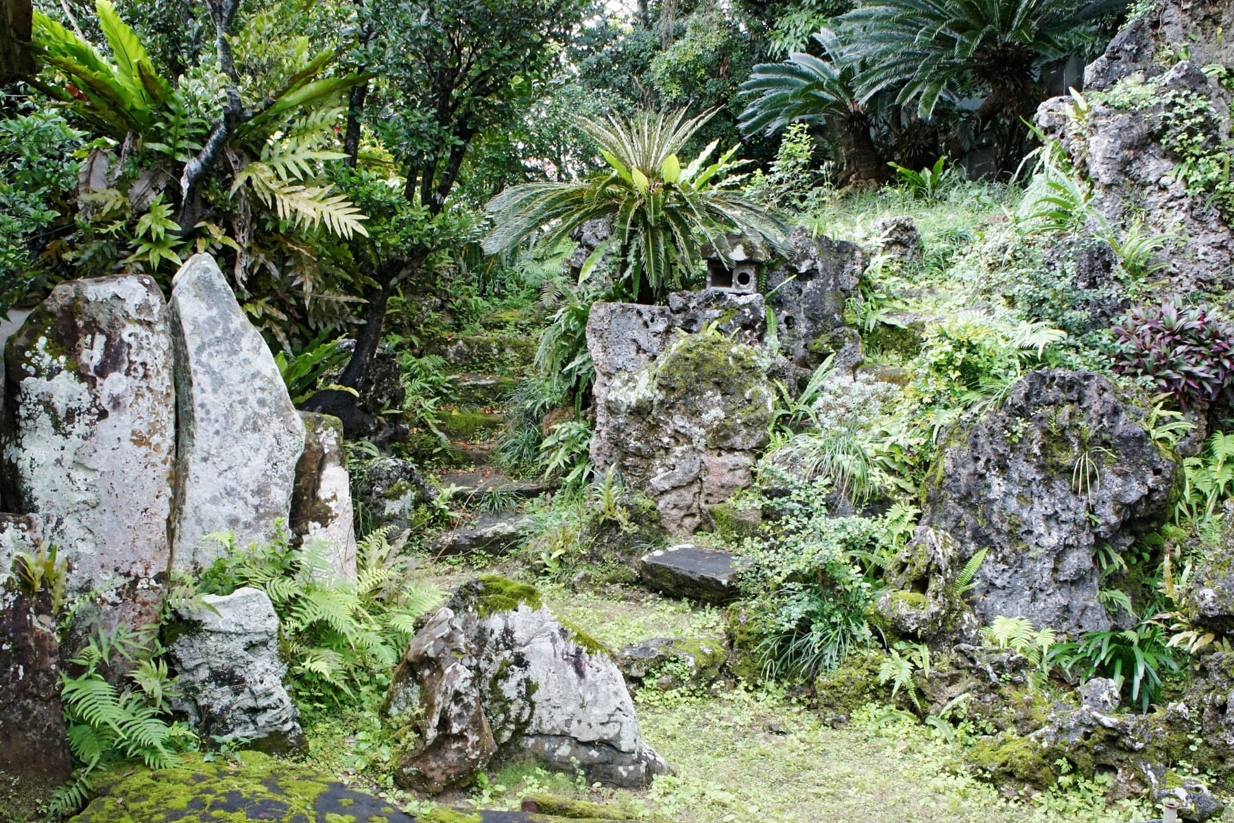 Upright slabs of coral limestone and cycads fill the dry rock garden that fronts the old Miyara Donchi residence in Ishigaki town.