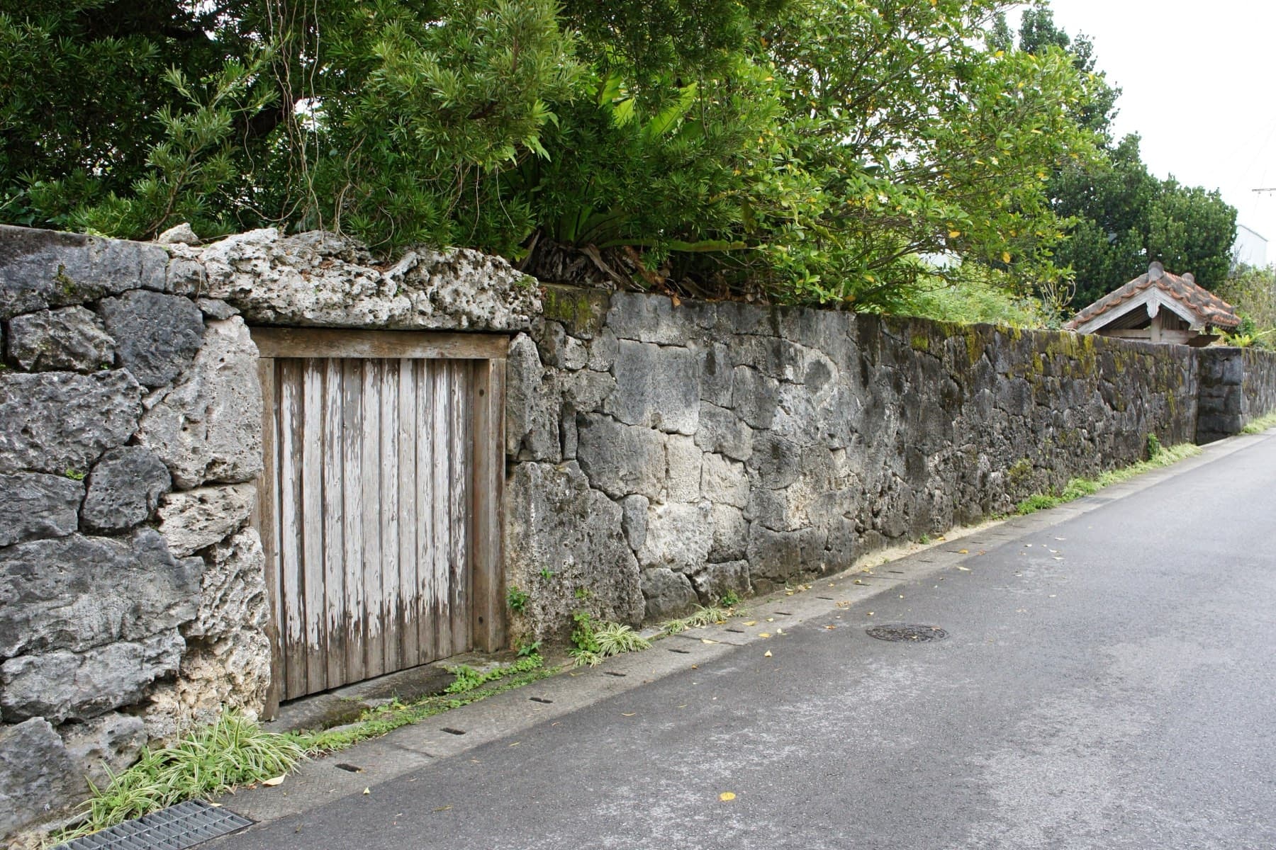 A weathered wooden gate sits in the coral-stone wall that runs along the lane outside Miyara Donchi in Ishigaki.