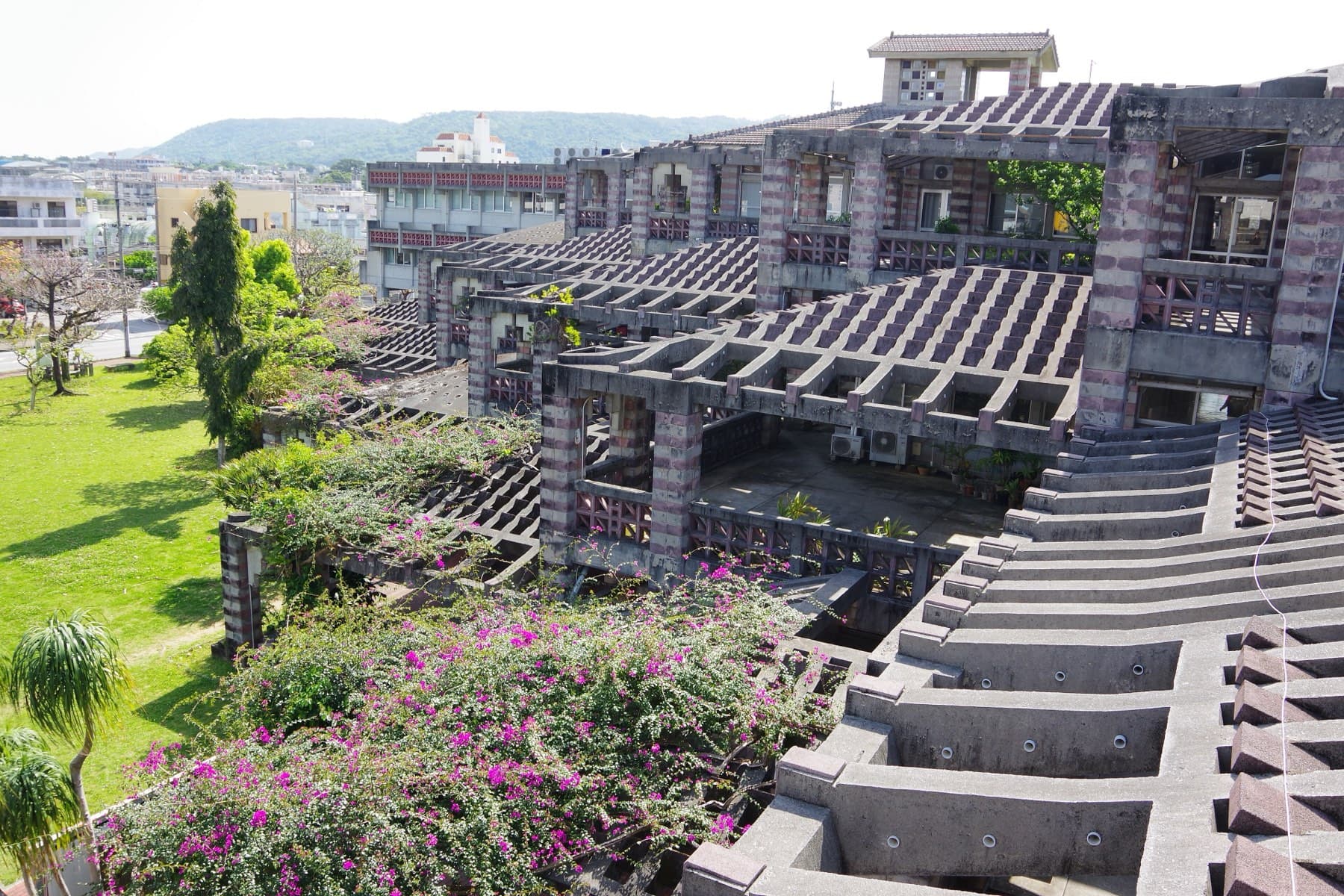 Pink concrete lattice shades step down the terraced roof of Nago City Office, and bougainvillea spills over the levels below a hazy sky