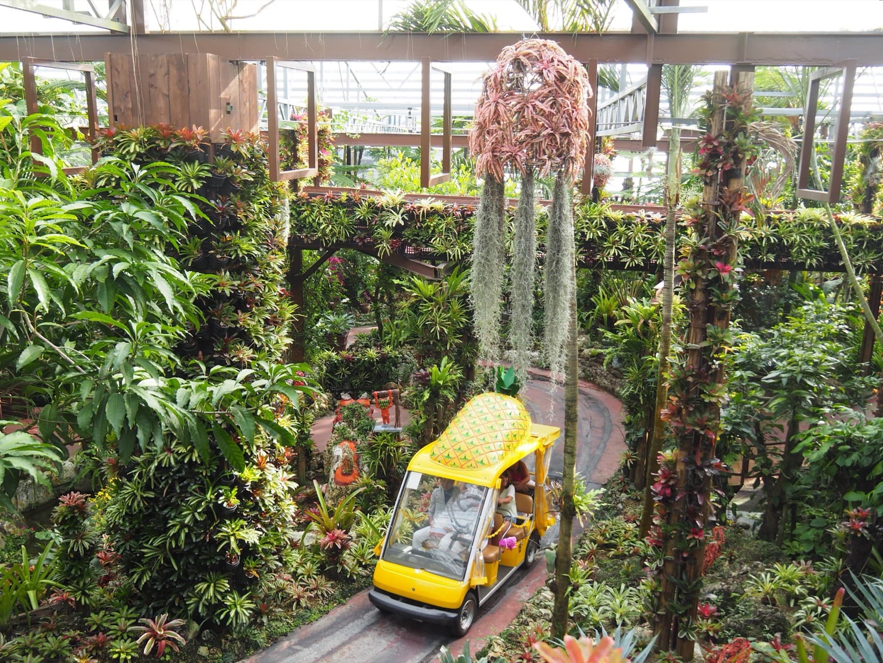 A small yellow pineapple-shaped cart carries visitors along a track through the dense tropical greenhouse at Nago Pineapple Park