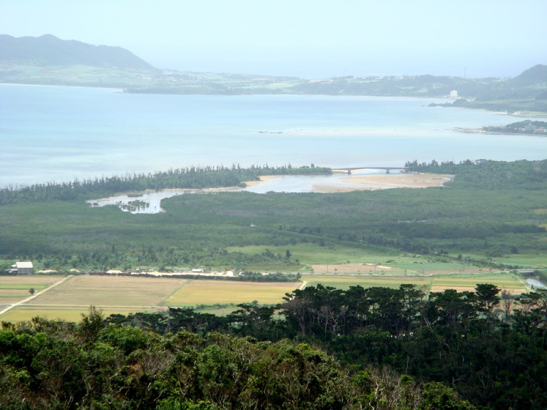 From the hills above Nagura the view takes in rice fields, the mangrove fringe of the Anparu wetland and the wide pale water of Nagura Bay.