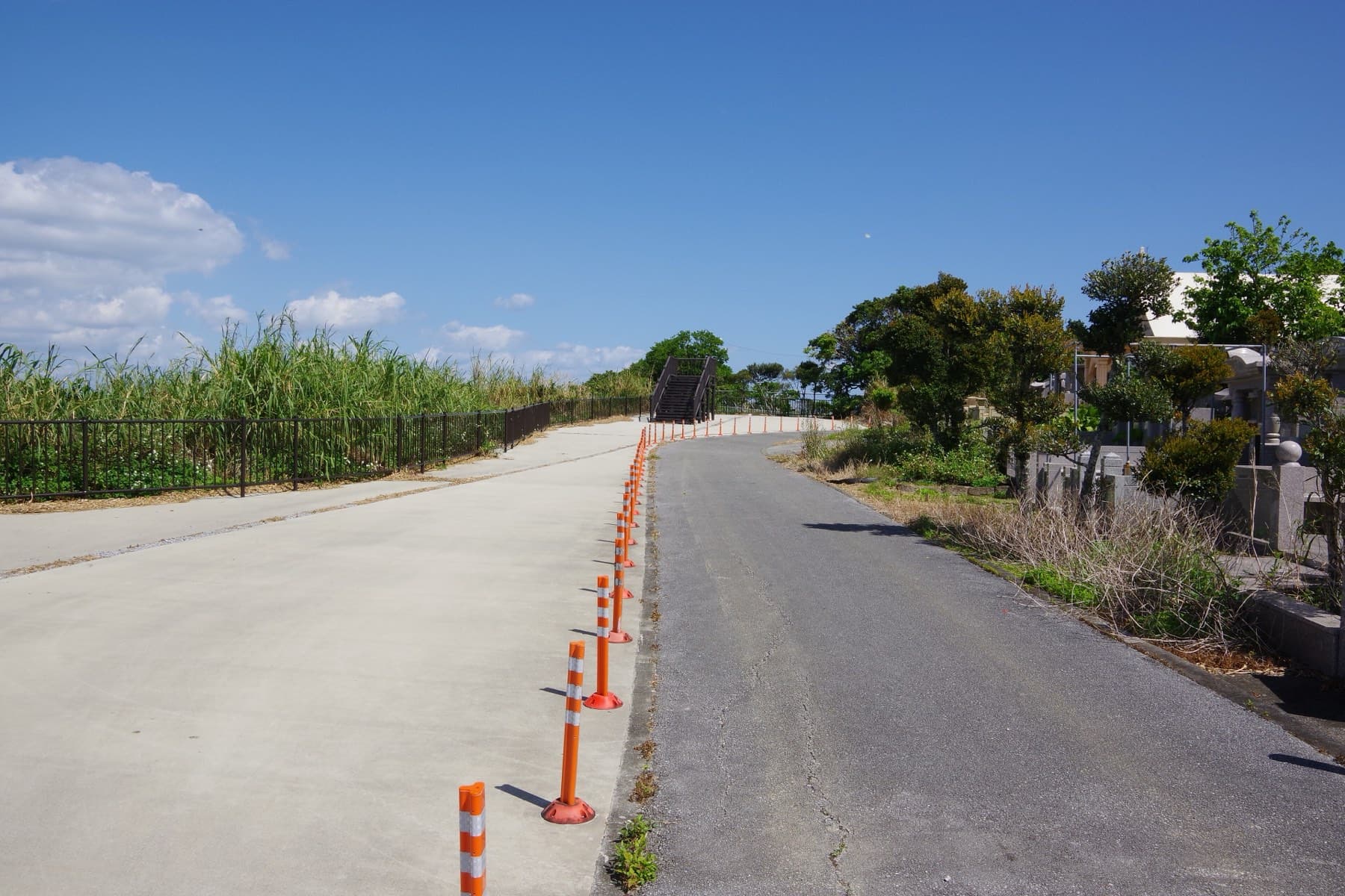 Prefectural Route 236 in Nanjo runs between cane fields and trees, with a separate cycle lane marked off from the road by a line of orange posts.