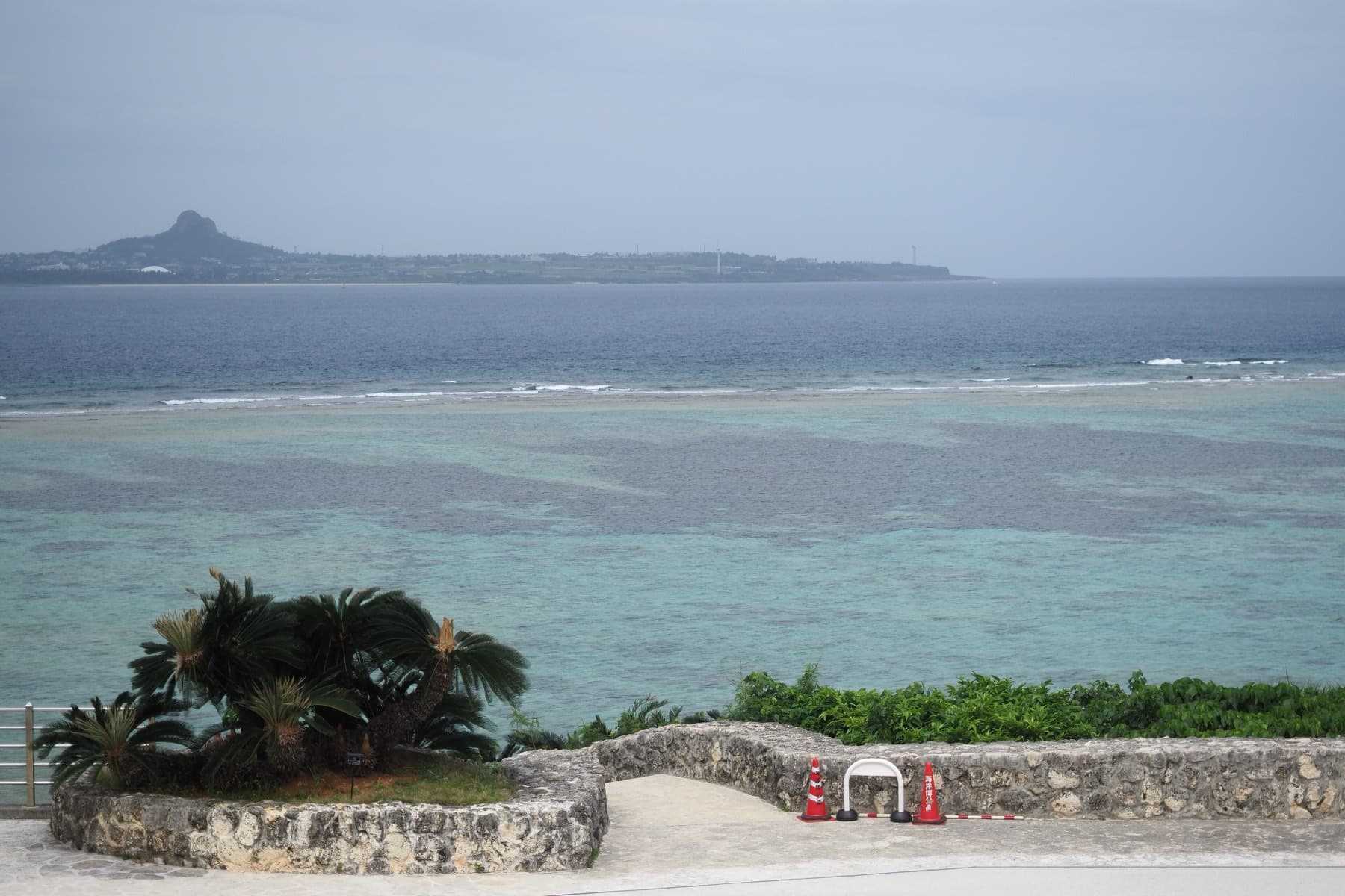 Cycad palms grow in a stone planter on the seafront at Ocean Expo Park, and the reef spreads green below the long low shape of Ie-jima and its peak