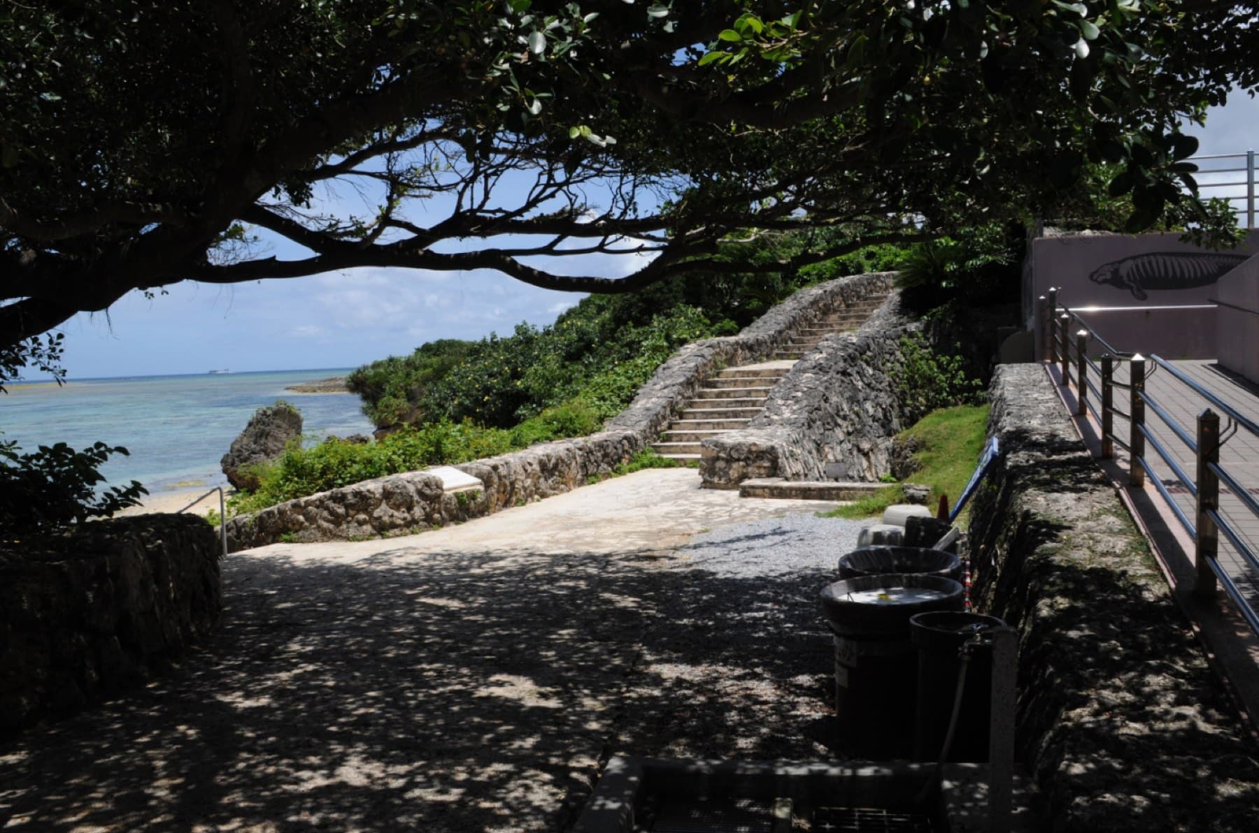 Trees throw deep shade over stone steps and coral-rock walls on the coastal path at Ocean Expo Park, with bright blue sea showing through the branches