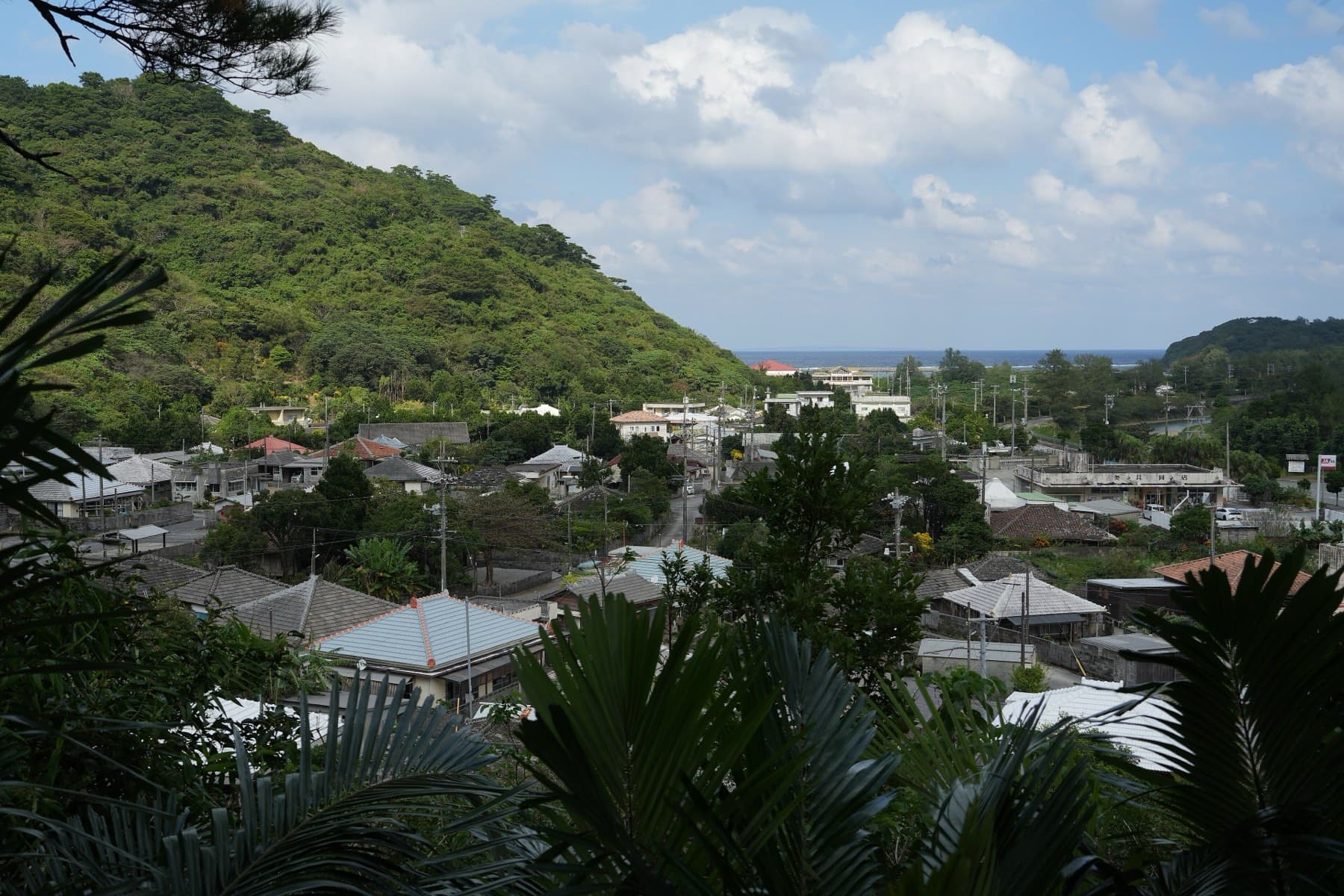 Low houses and gardens of Oku spread along a valley floor below a wooded hill in Kunigami, with the sea at the far end.