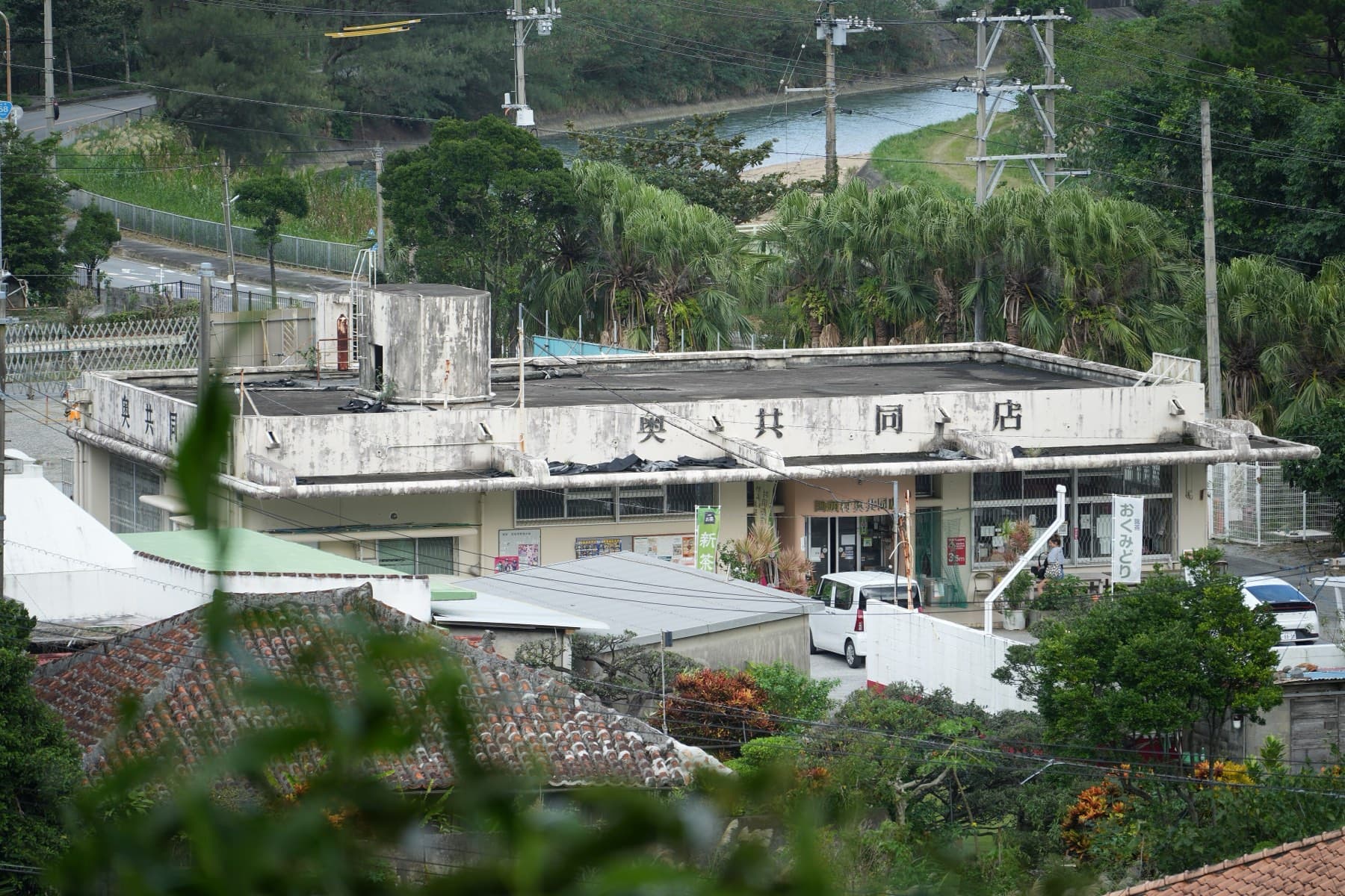 The flat-roofed Oku Co-op Store with its name on the parapet, seen from a hillside above Oku with palms and the river behind
