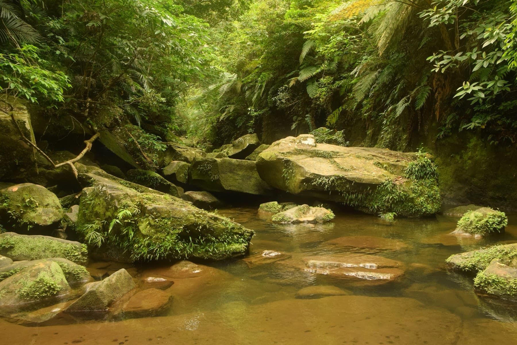 A shallow stream runs over mossy boulders under a dense green canopy on the trail toward Pinaisara Falls.