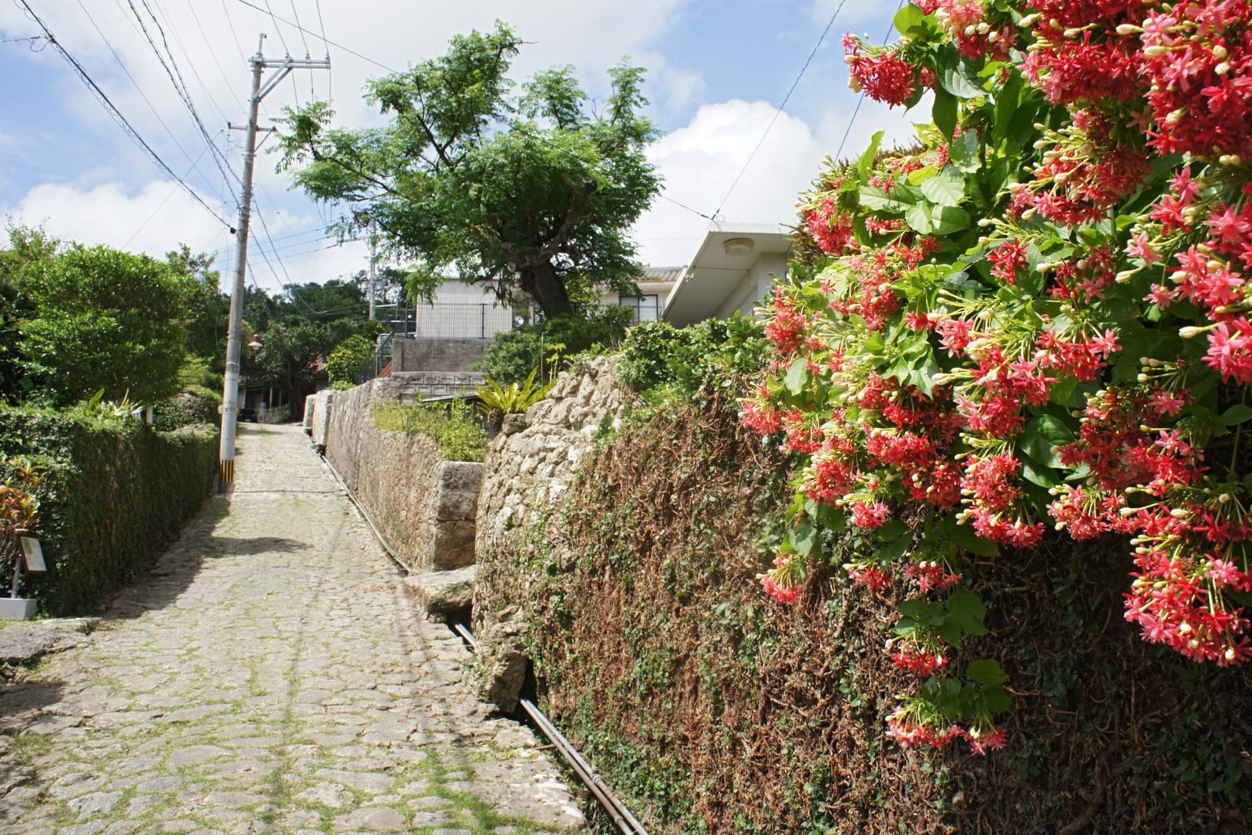 Clusters of red and pink blossoms hang over a stone wall where the Kinjo-cho cobbled lane runs straight and quiet under a summer sky