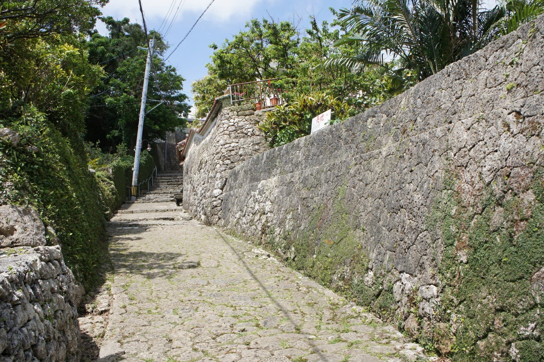Moss grows on a tall coral limestone wall that runs beside the cobbled Kinjo-cho stone path as it climbs toward Shuri on a sunny day