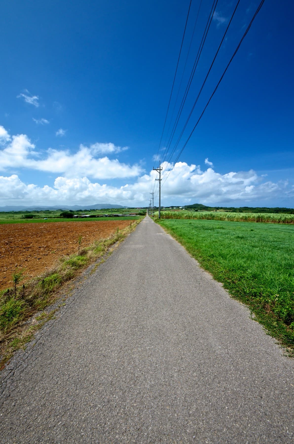 A single lane of tarmac cuts between red earth and green fields on Kohama's Sugar Road beneath a deep blue sky and a line of power cables.