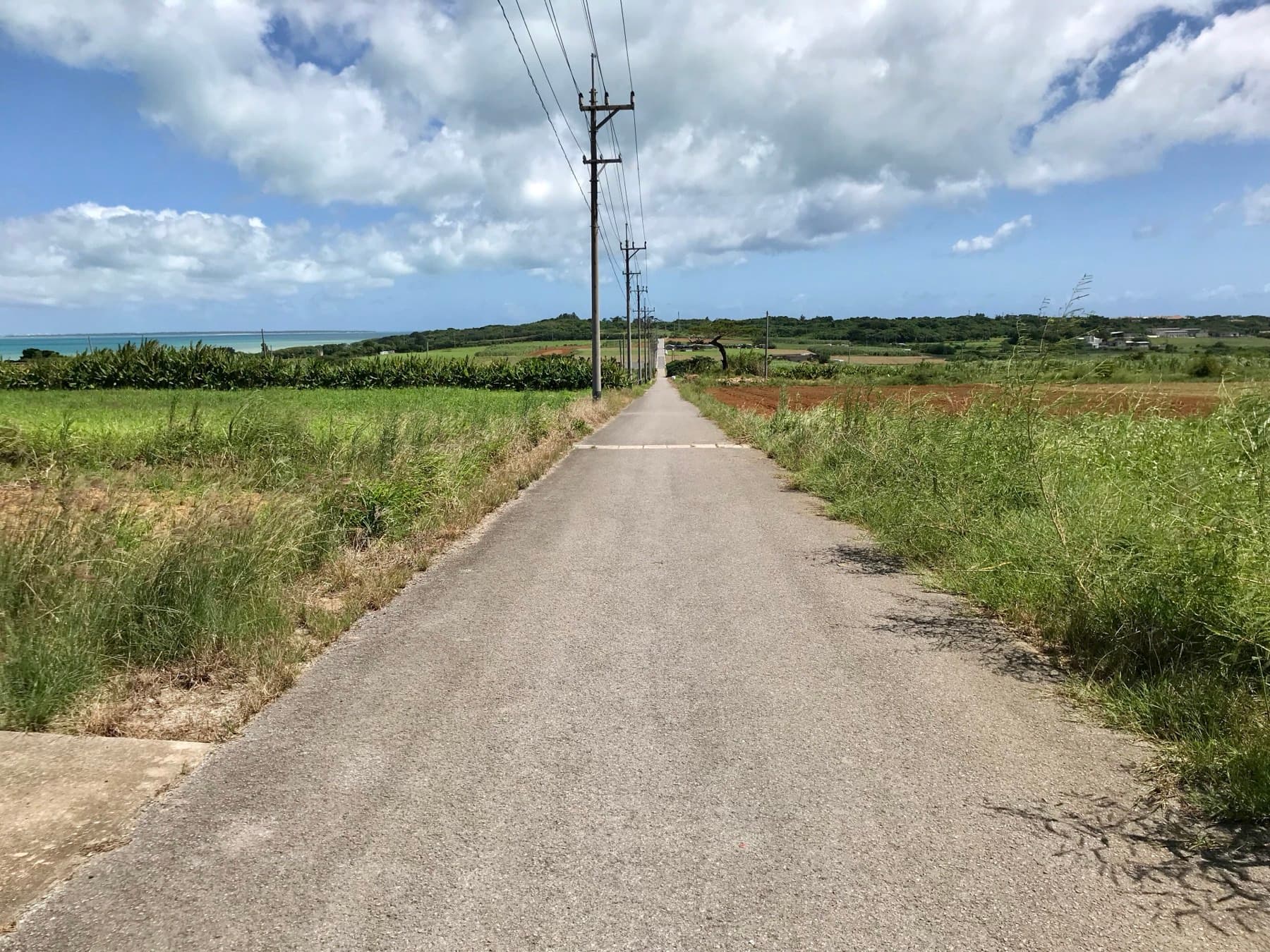 The narrow Sugar Road runs dead straight between cane fields and power poles toward the sea on Kohama under a sky of drifting cloud.