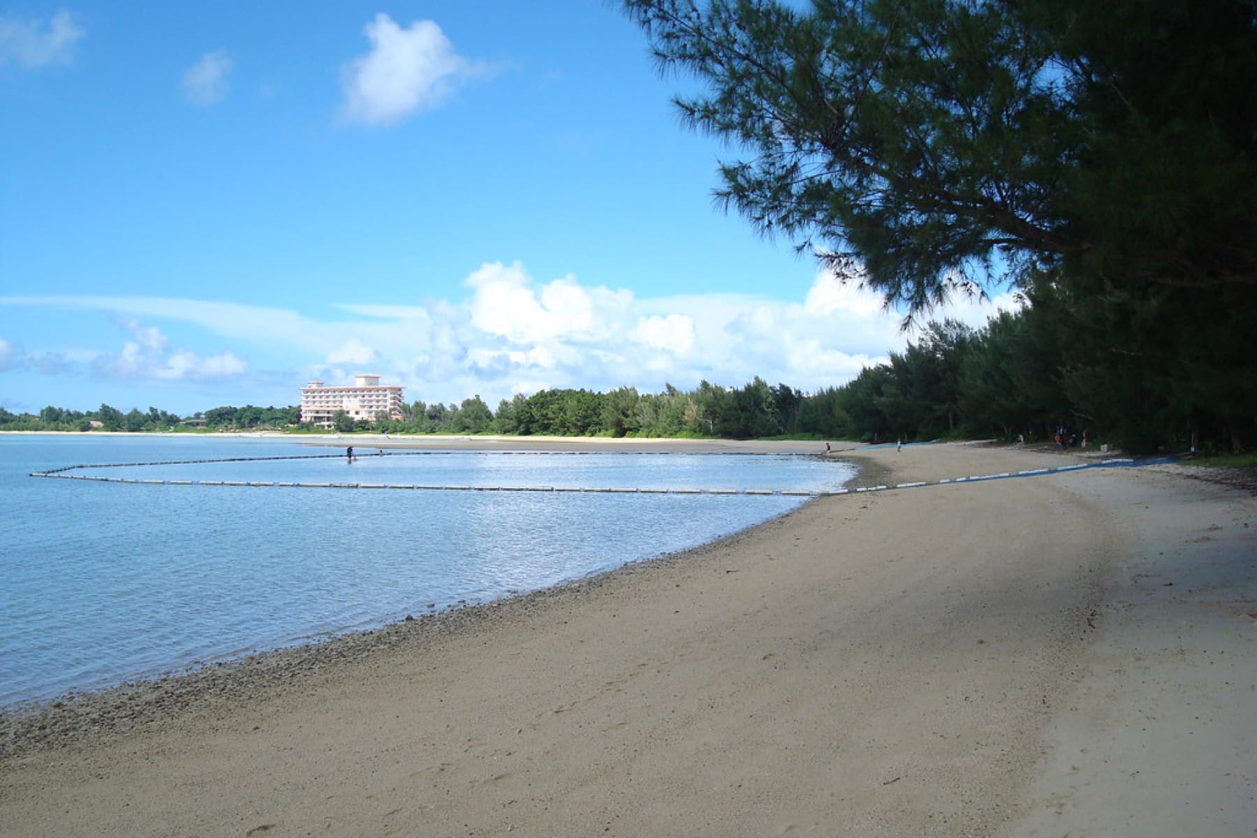 Sukuji Beach curves away under casuarina trees toward a resort hotel, and a swim net crosses the calm shallow water of the bay.