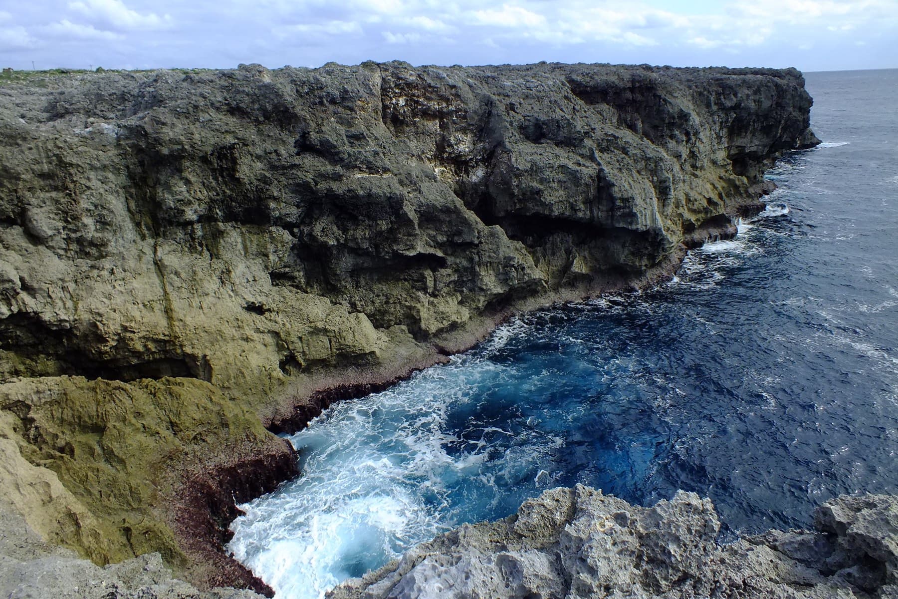 Dark blue swell surges against the undercut limestone cliffs of Takanasaki on the south coast of Hateruma.