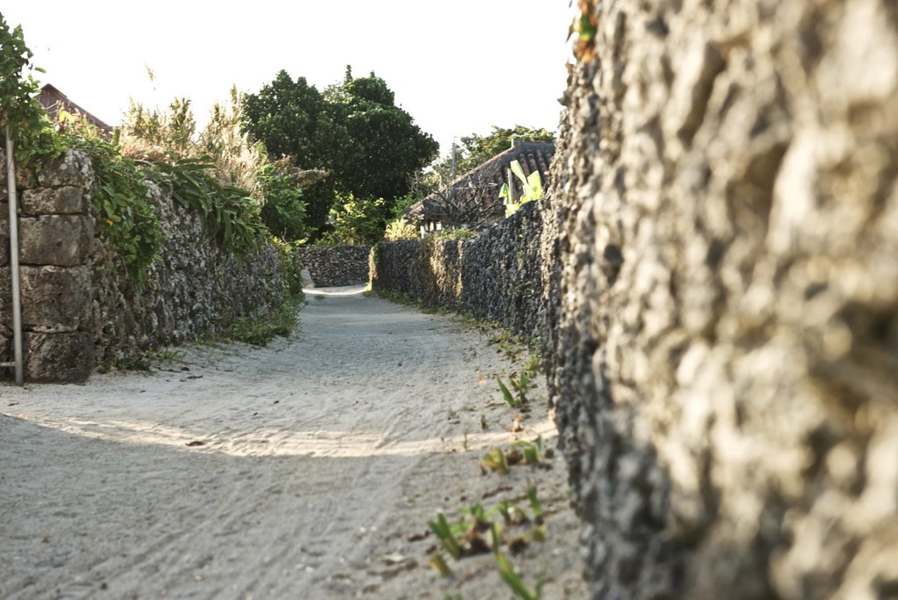 A sand lane runs between tall coral-stone walls in Taketomi village, and the pitted texture of the stone fills the right side of the frame.