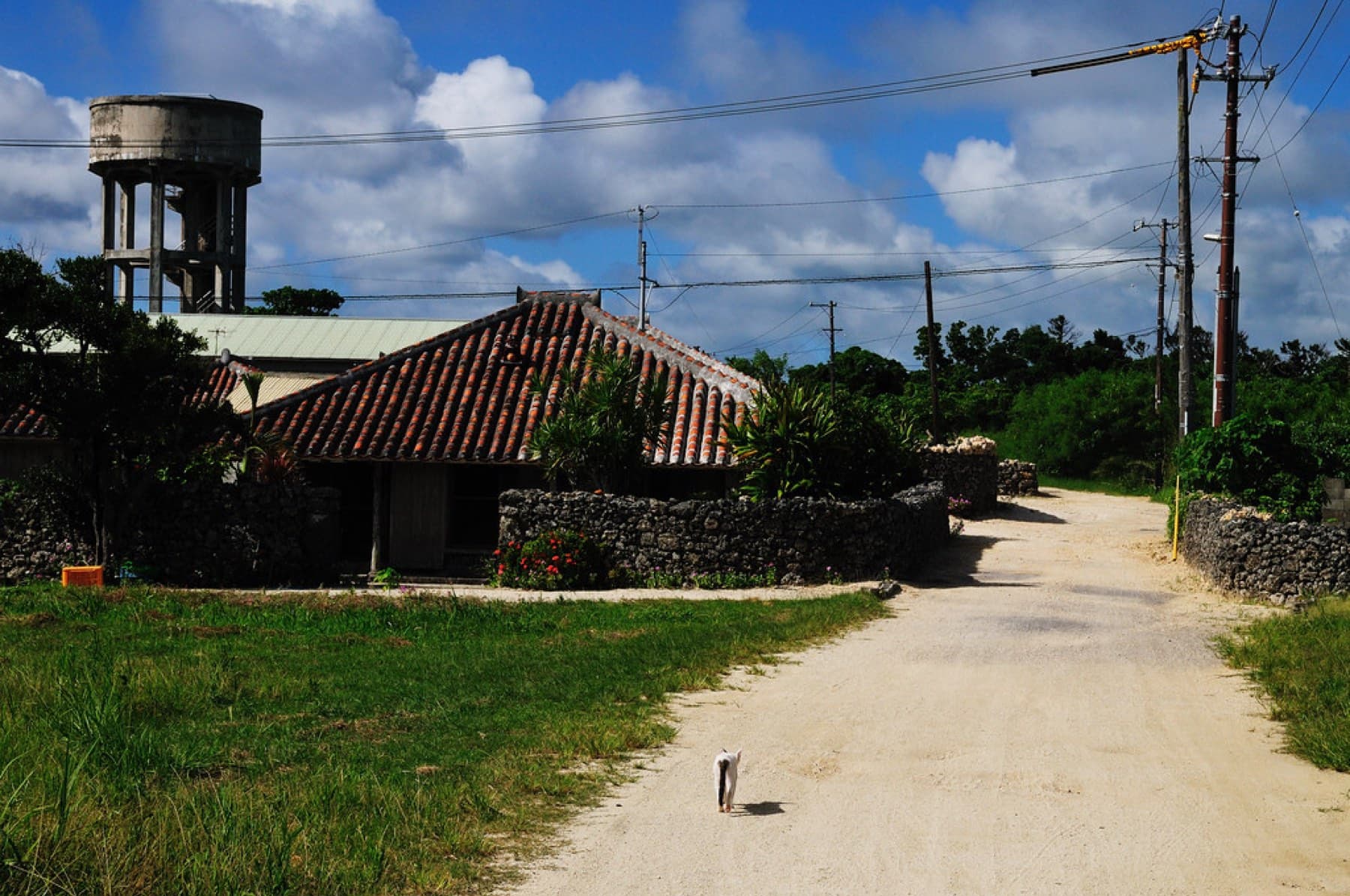An old concrete water tower rises over a red-tiled house where a sand lane bends through grass on the edge of Taketomi village.