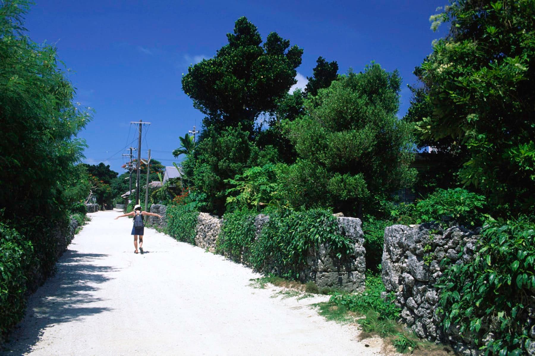 A lone walker heads down a lane of raked white coral sand between stone walls and dense green trees in Taketomi village.