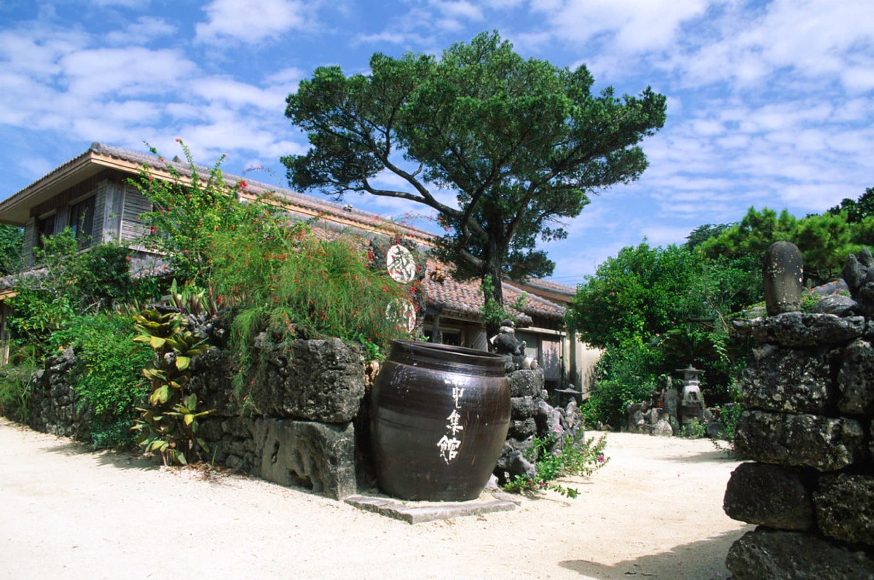 A big glazed water jar stands at the gate of an old wooden house in Taketomi village where a wind-bent pine shades the sand lane.