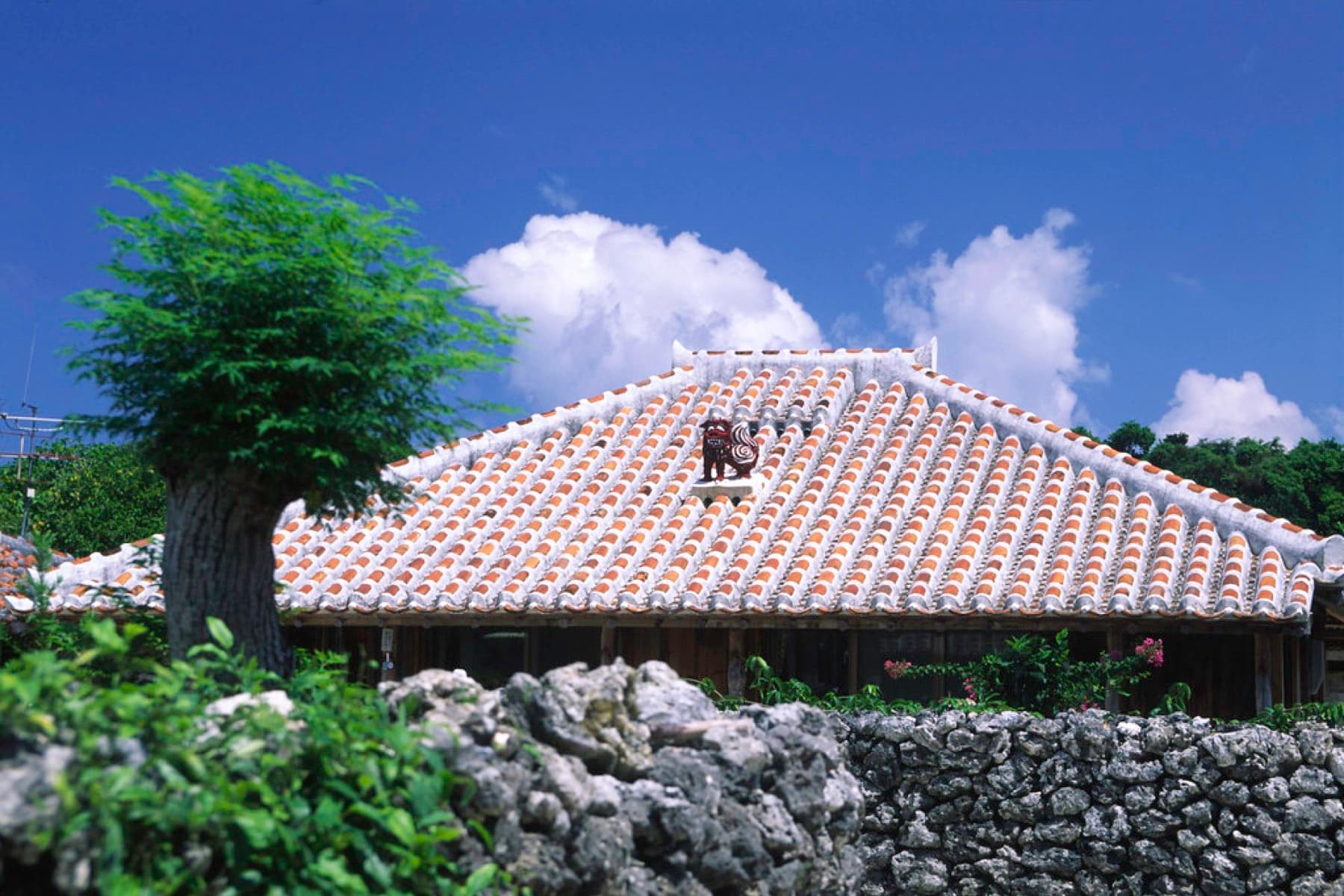 A clay shisa sits on the ridge of a red-tiled roof behind a coral-stone wall in Taketomi village under a deep blue sky.