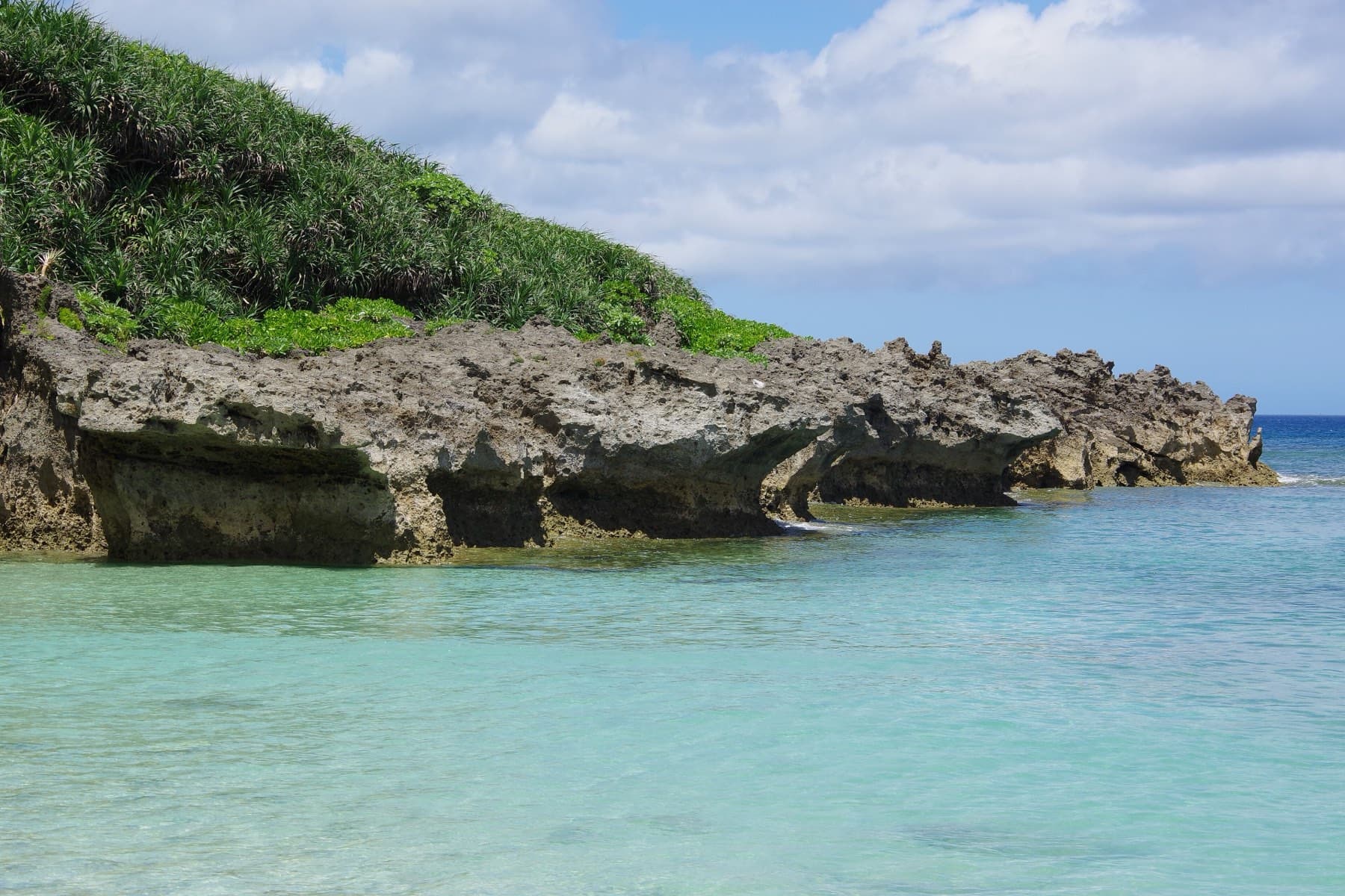 The sea has carved a deep notch under a long shelf of coral rock at the end of Tinu Beach on Kouri, and green scrub grows along its top