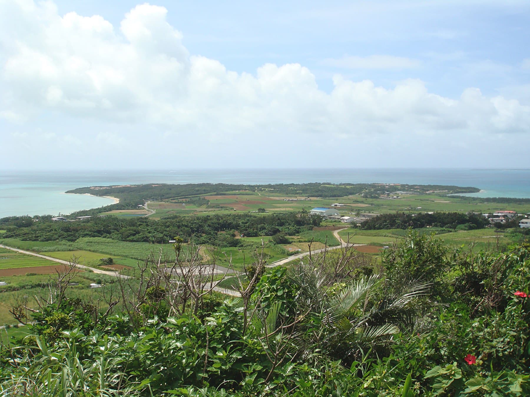 The view southeast from Ufudaki takes in Kohama's patchwork of cane fields and pasture running out to a low green point and the open sea.